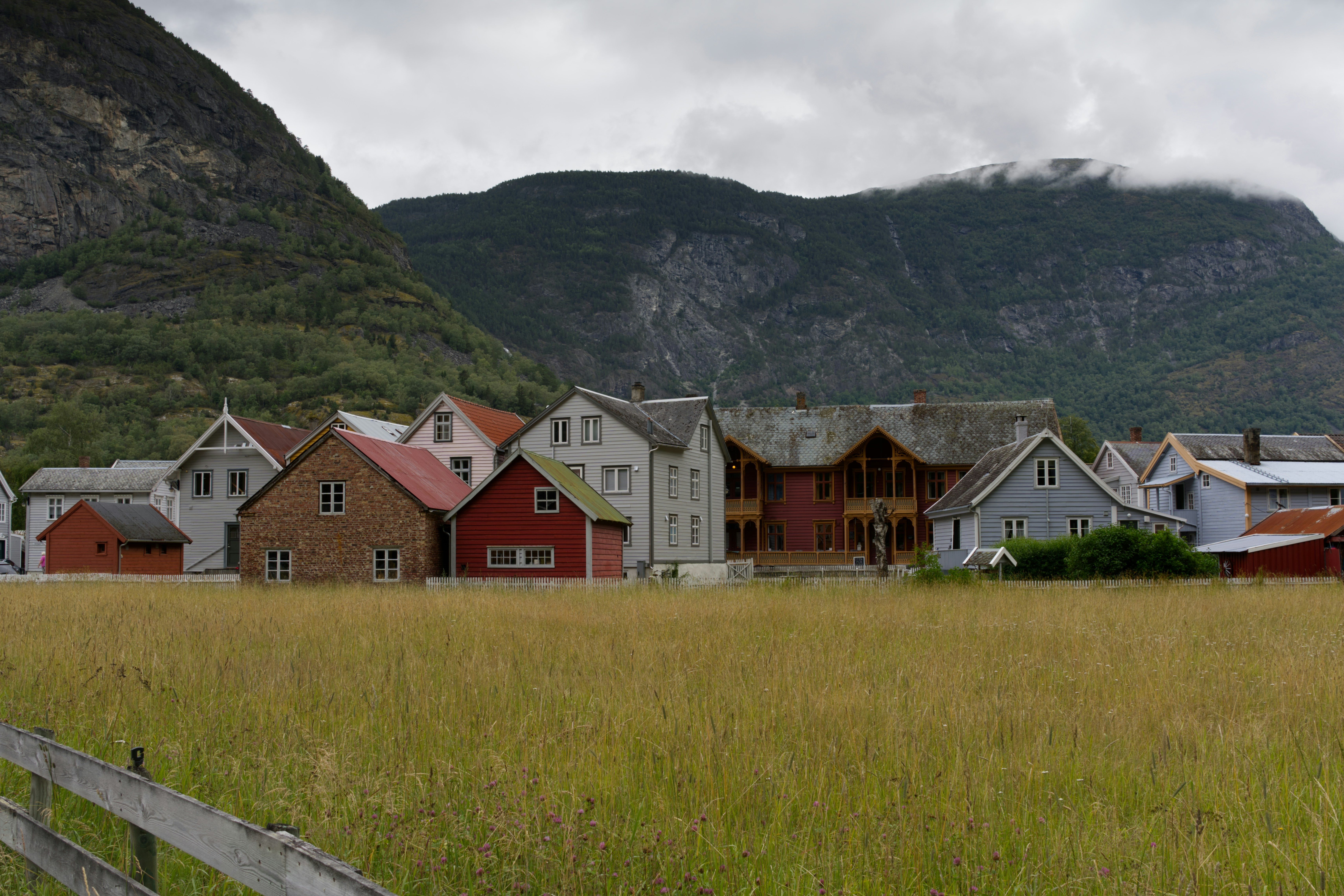 A grassy field with houses in the background