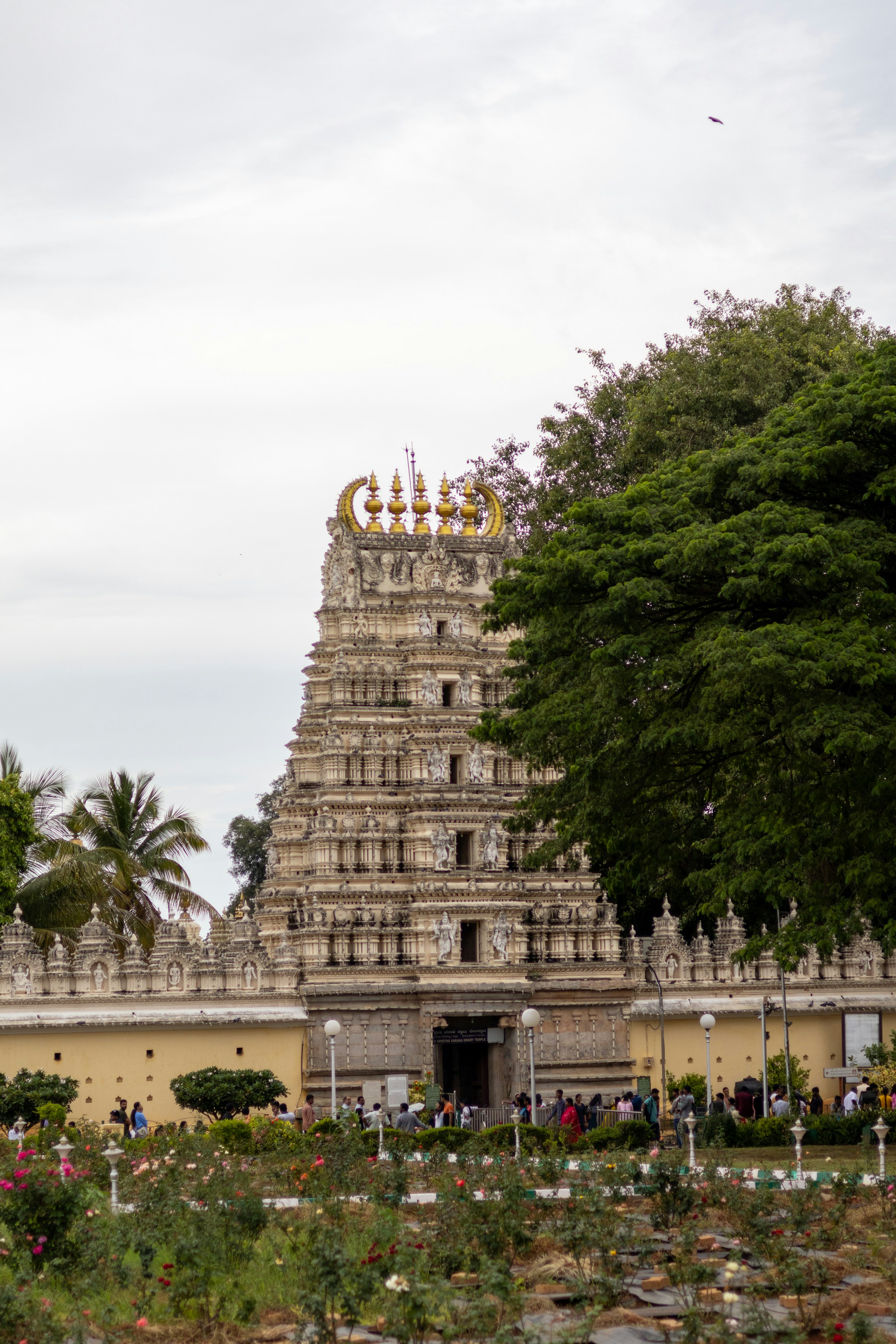 Photo by prakharsinghy