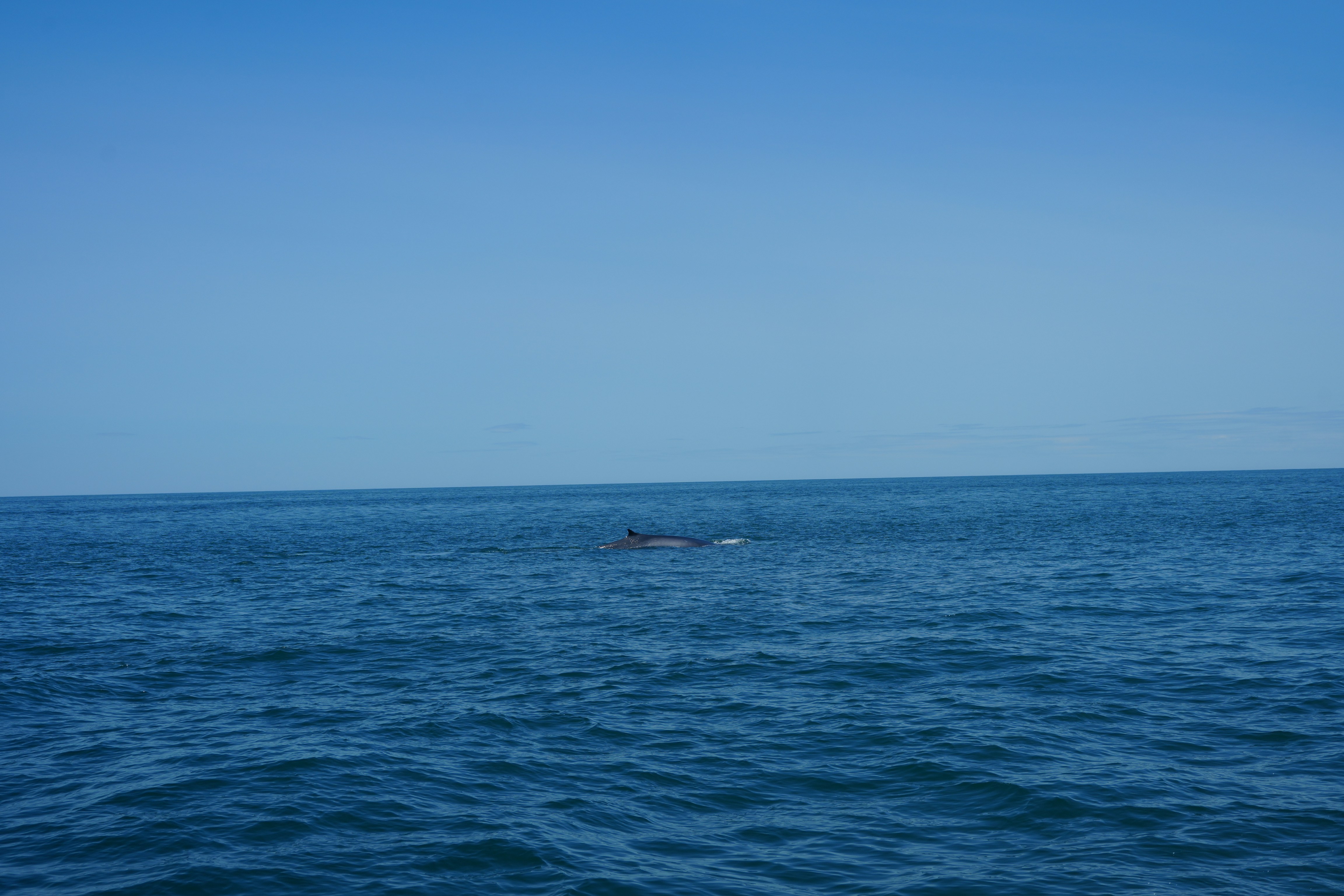 A small boat in the middle of a large body of water