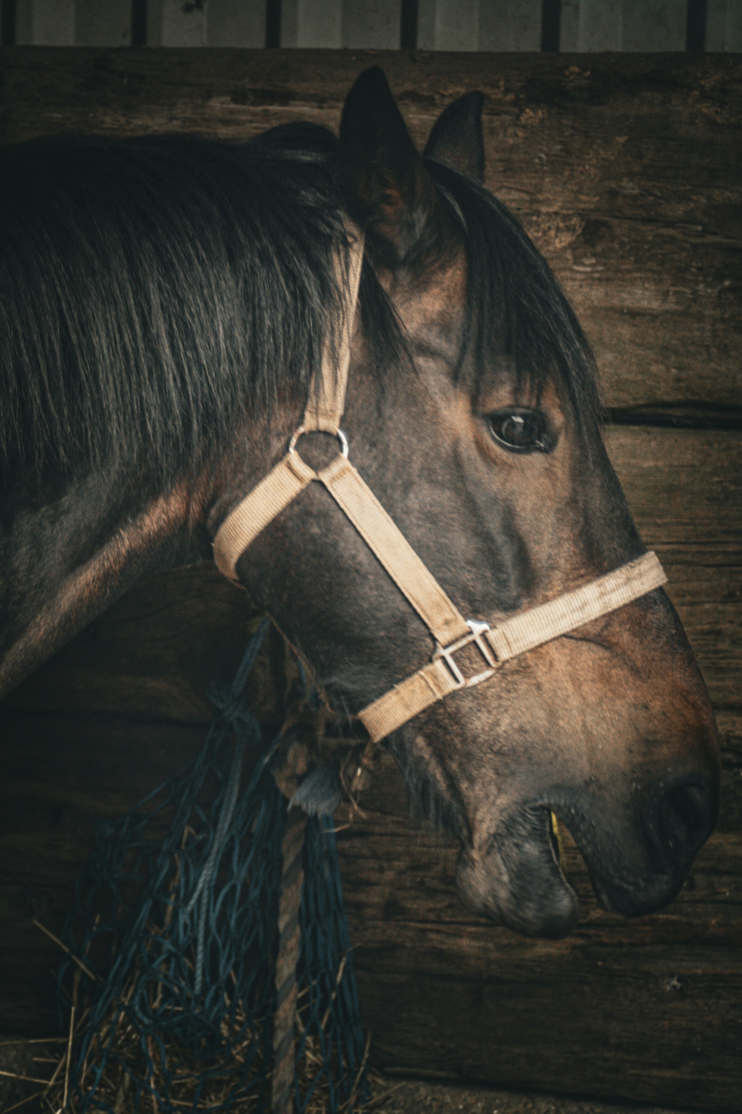 Photo by yvettejayne