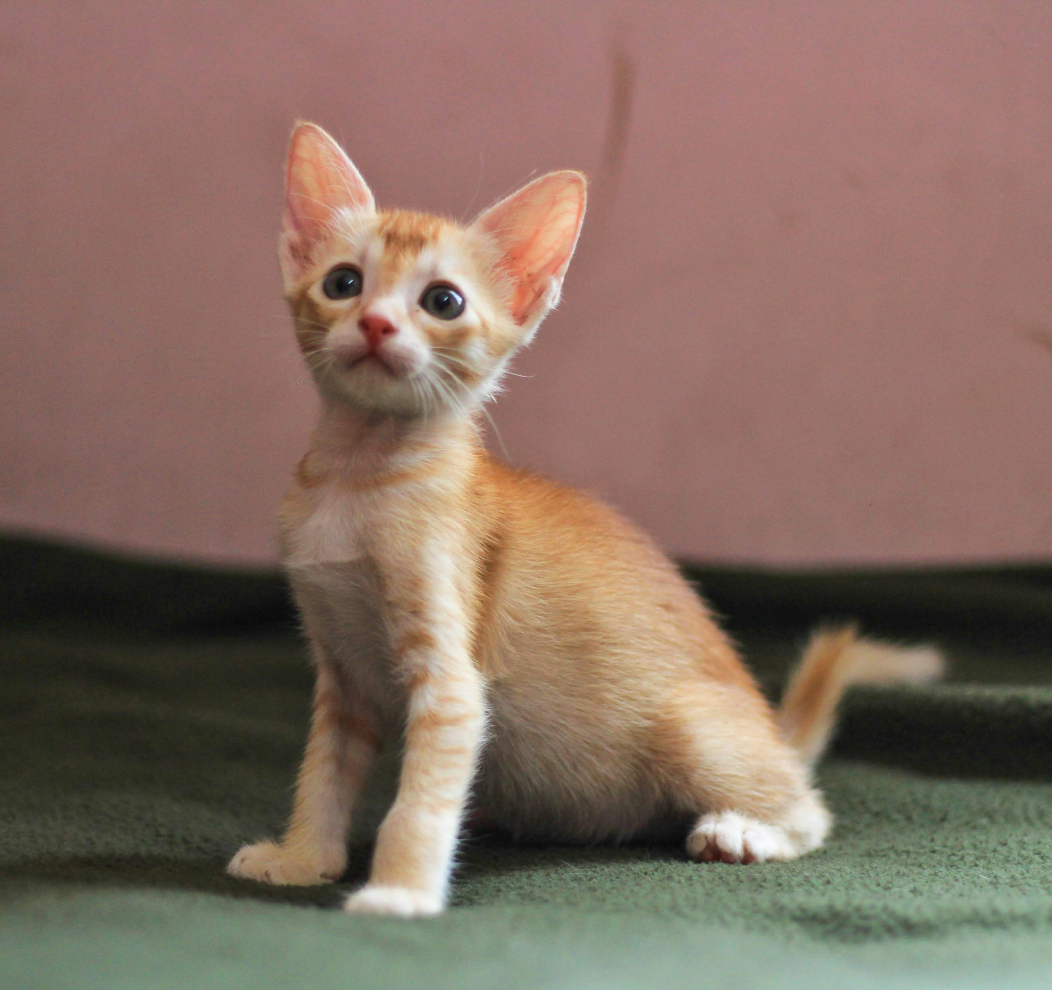 Photo by aditya_sethia_97