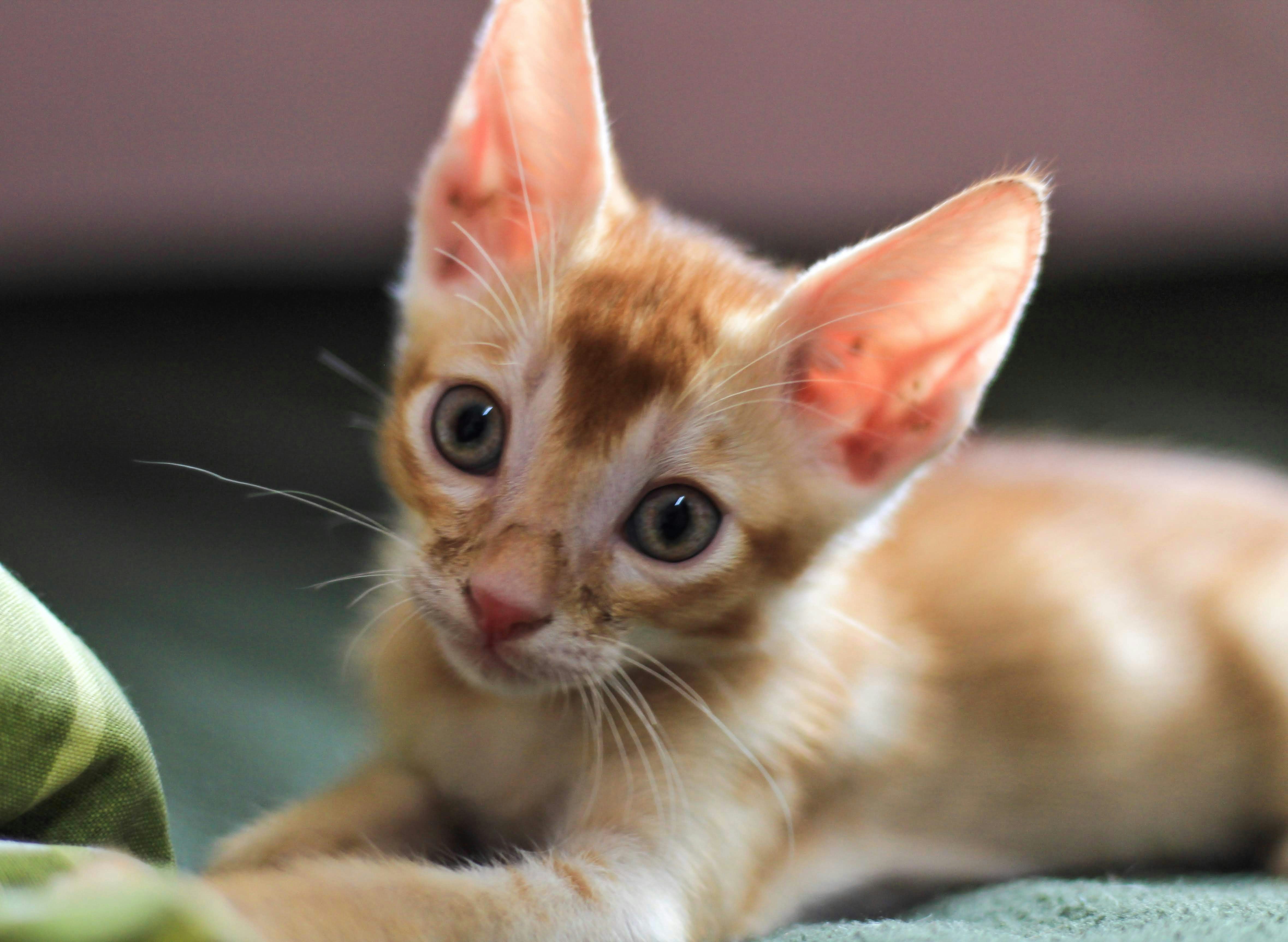 Photo by aditya_sethia_97