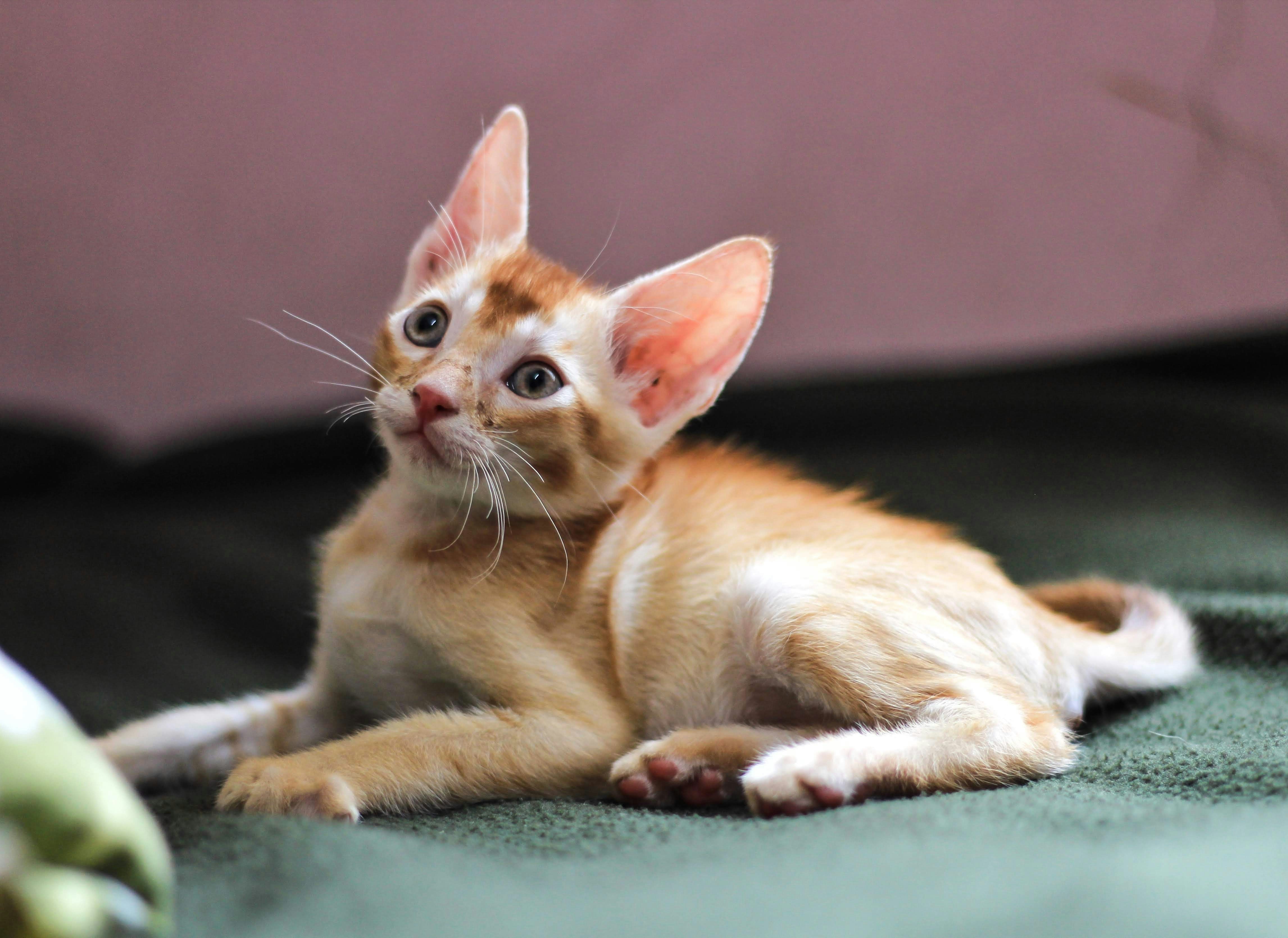 Photo by aditya_sethia_97