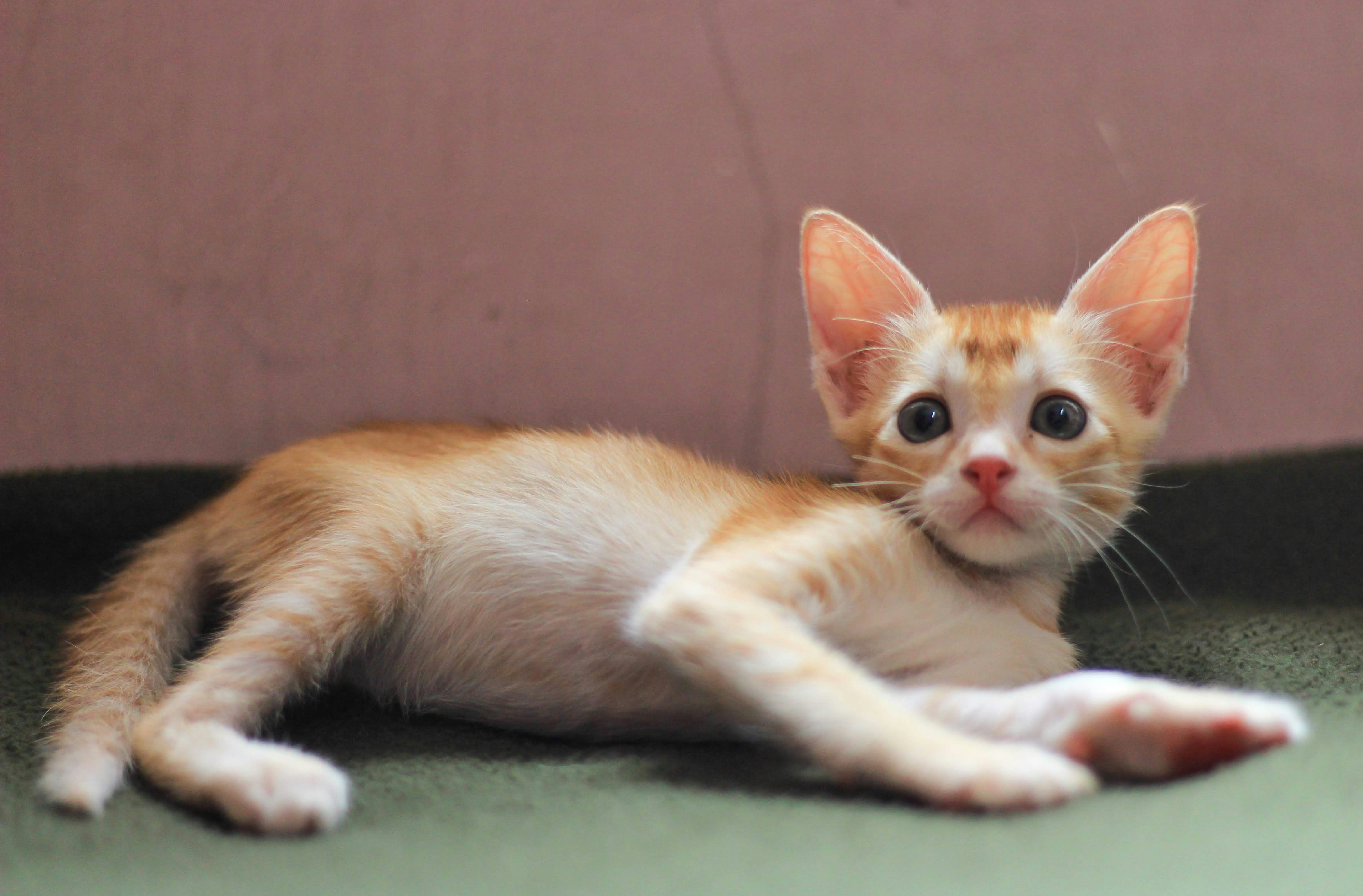 Photo by aditya_sethia_97