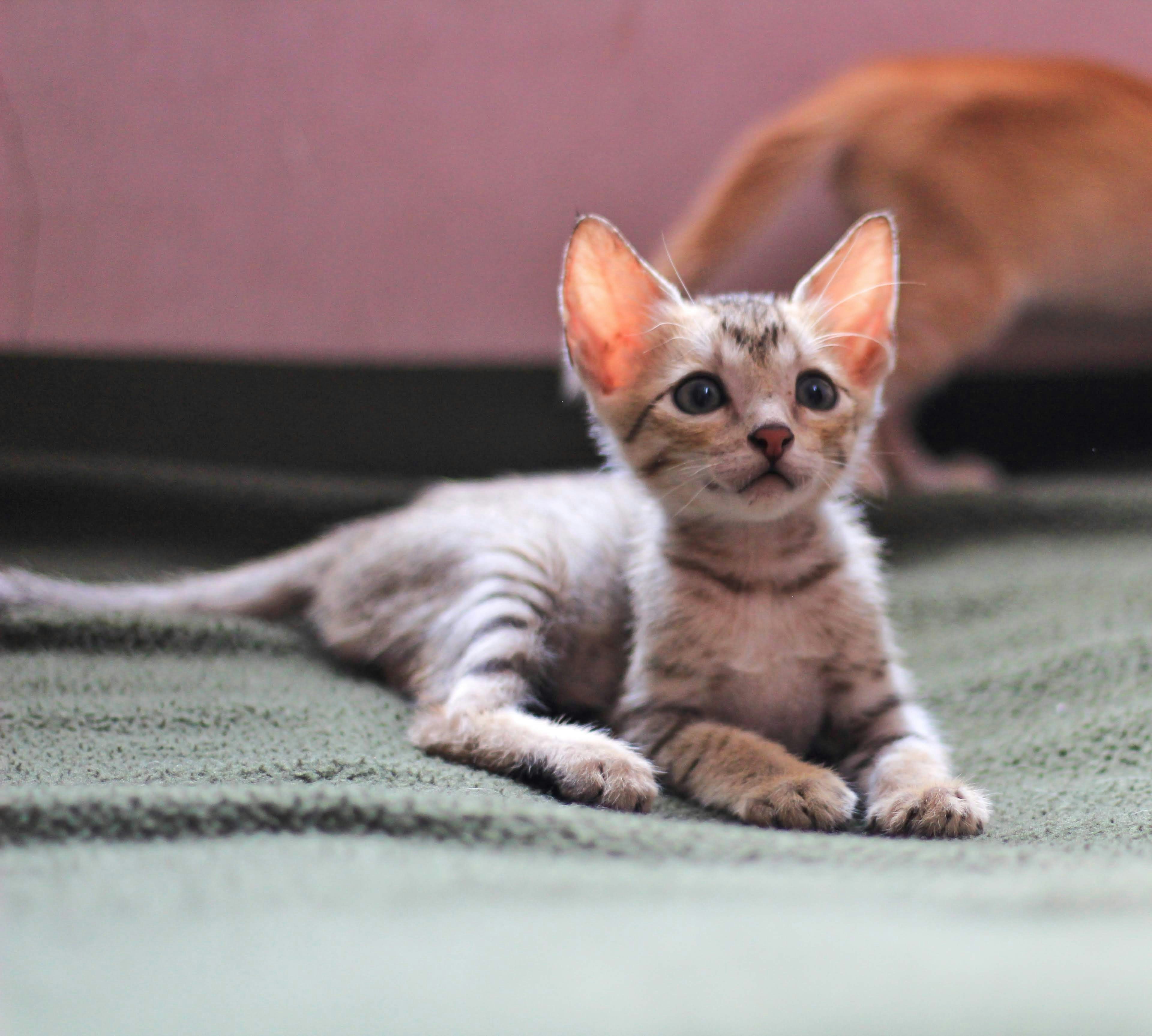 Photo by aditya_sethia_97