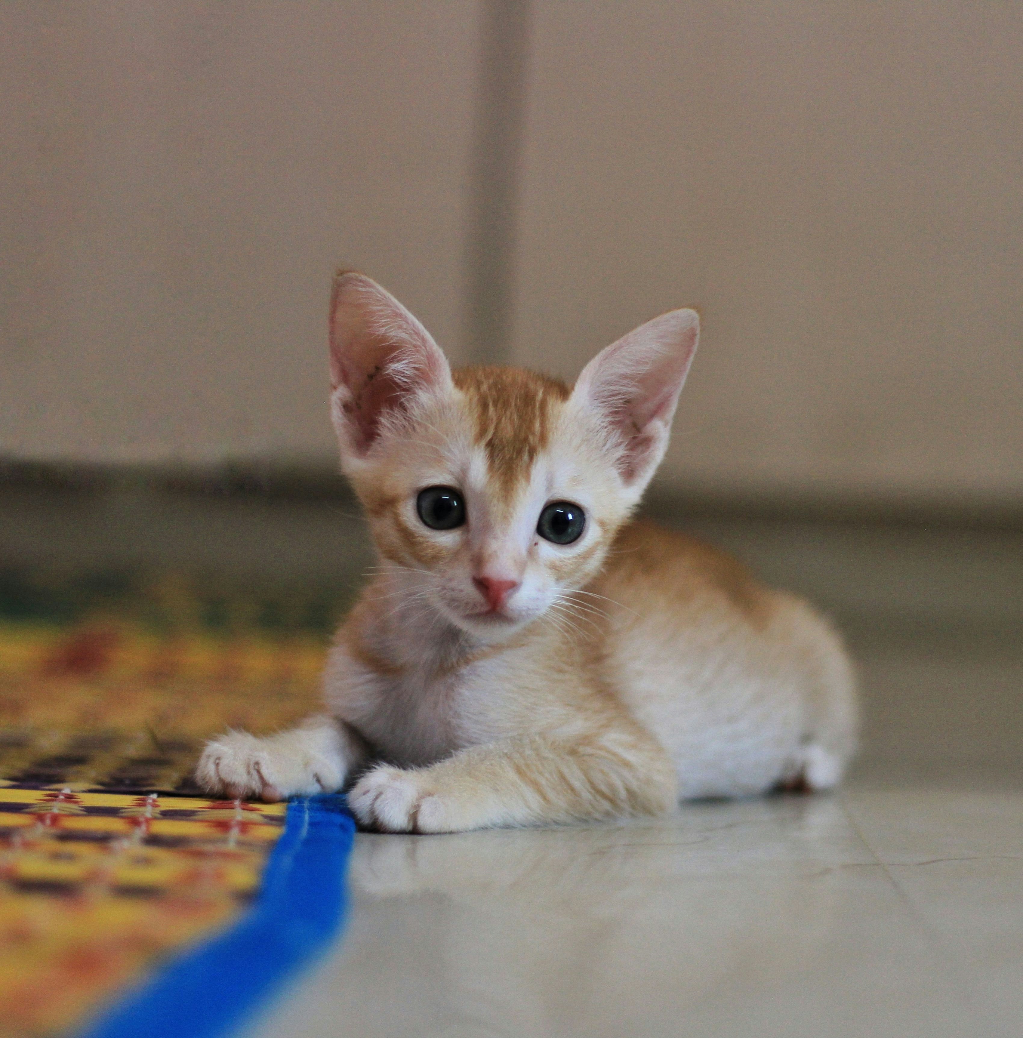 Photo by aditya_sethia_97