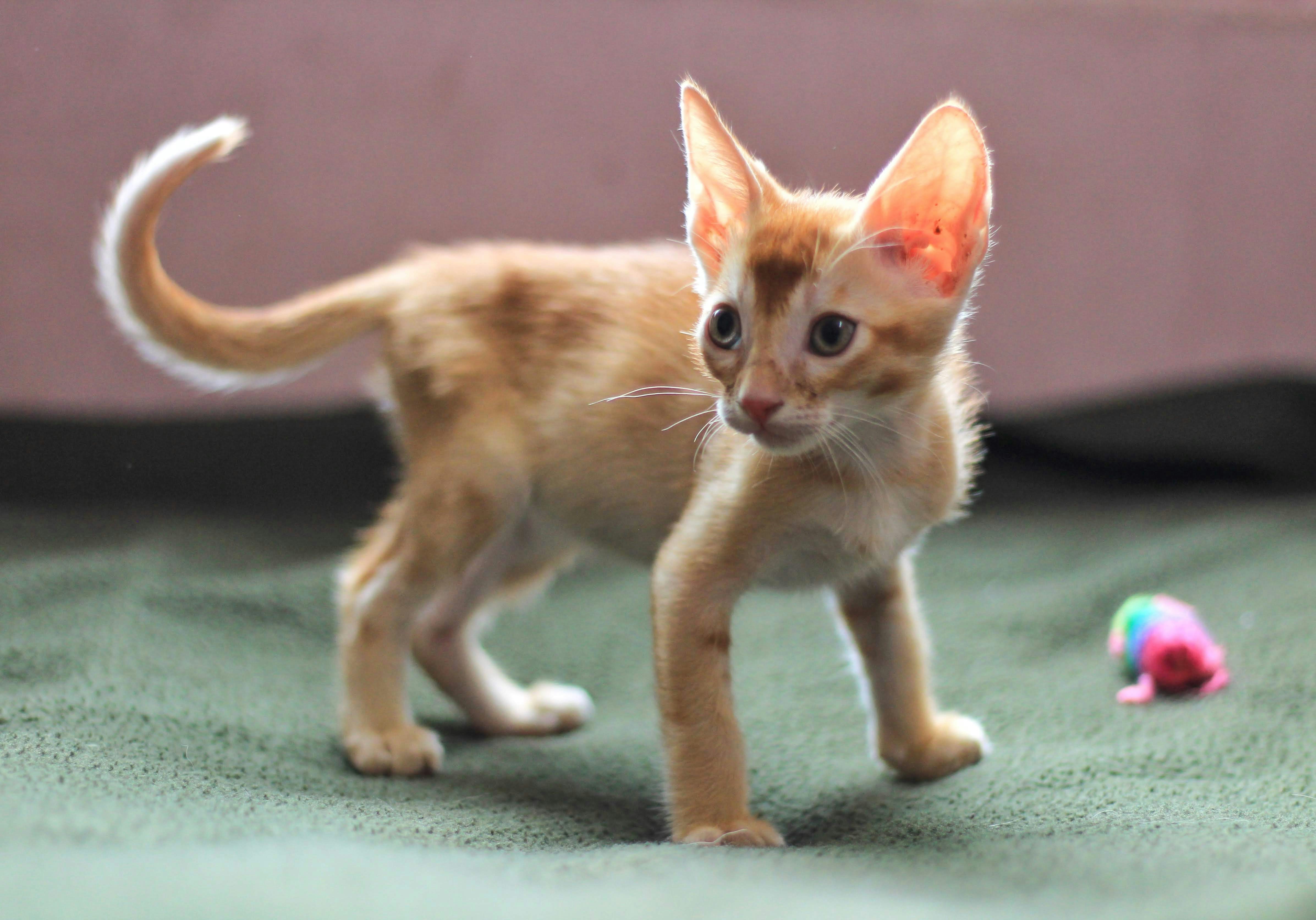 Photo by aditya_sethia_97