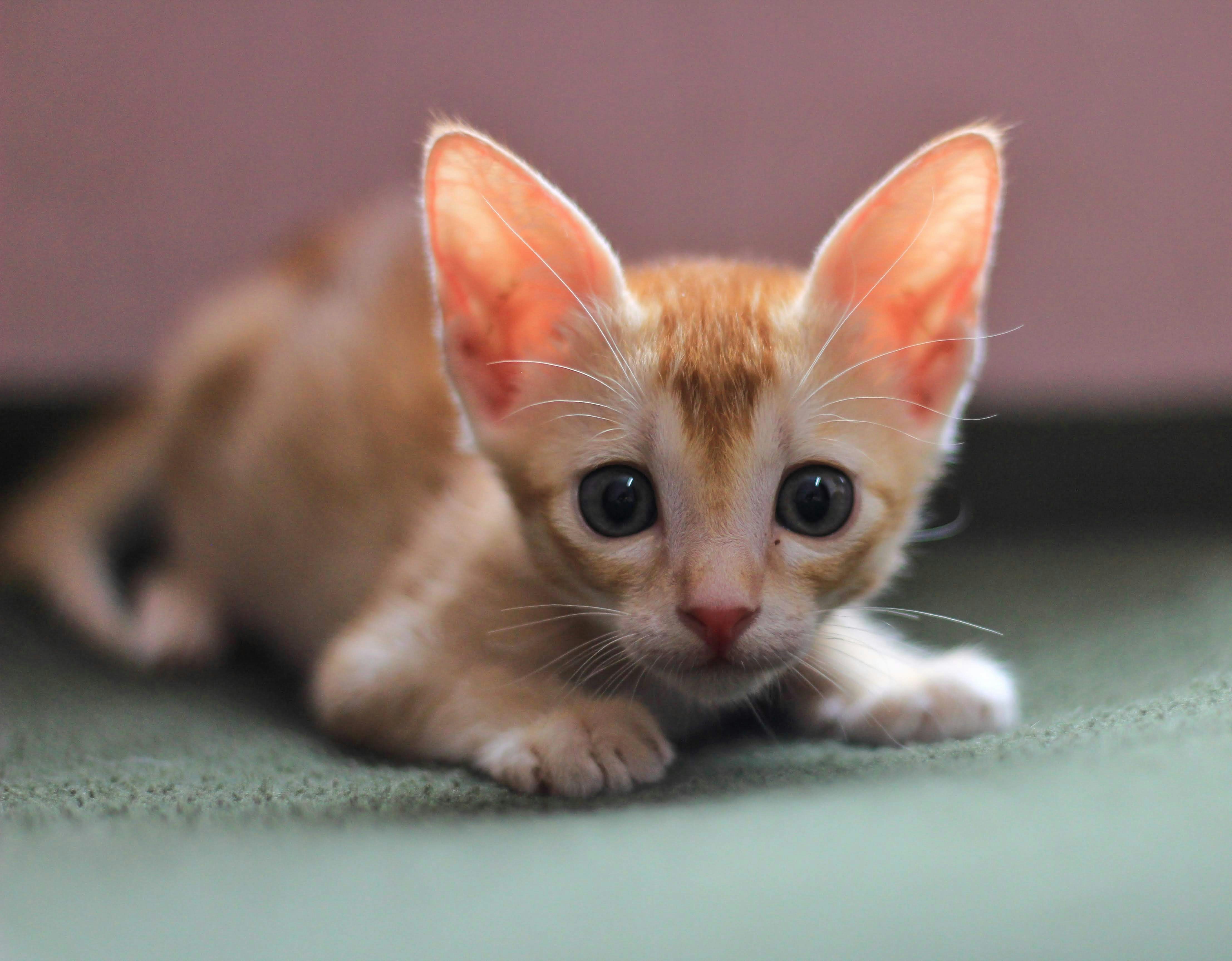 Photo by aditya_sethia_97