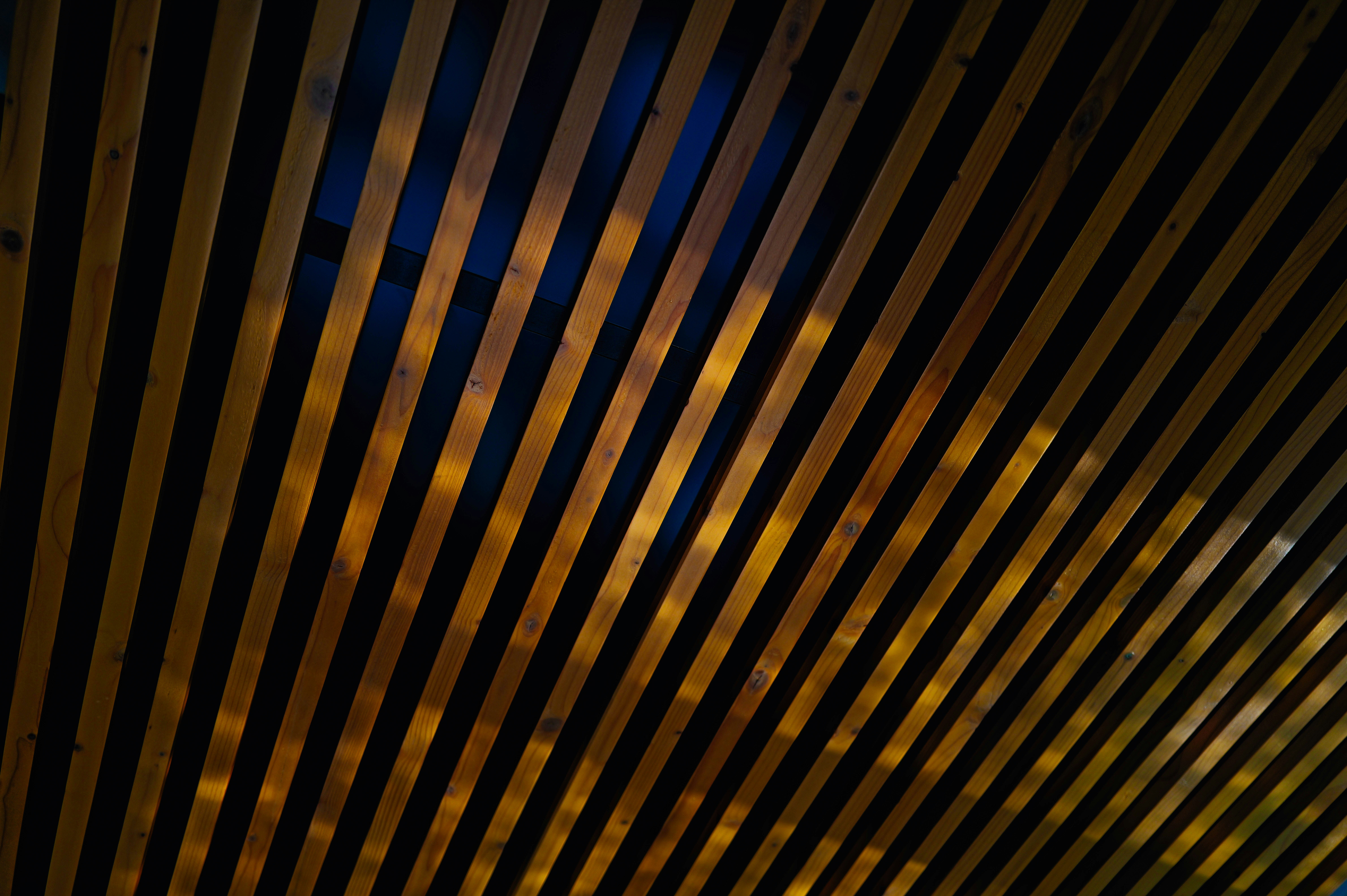 Photo by adrienolichon