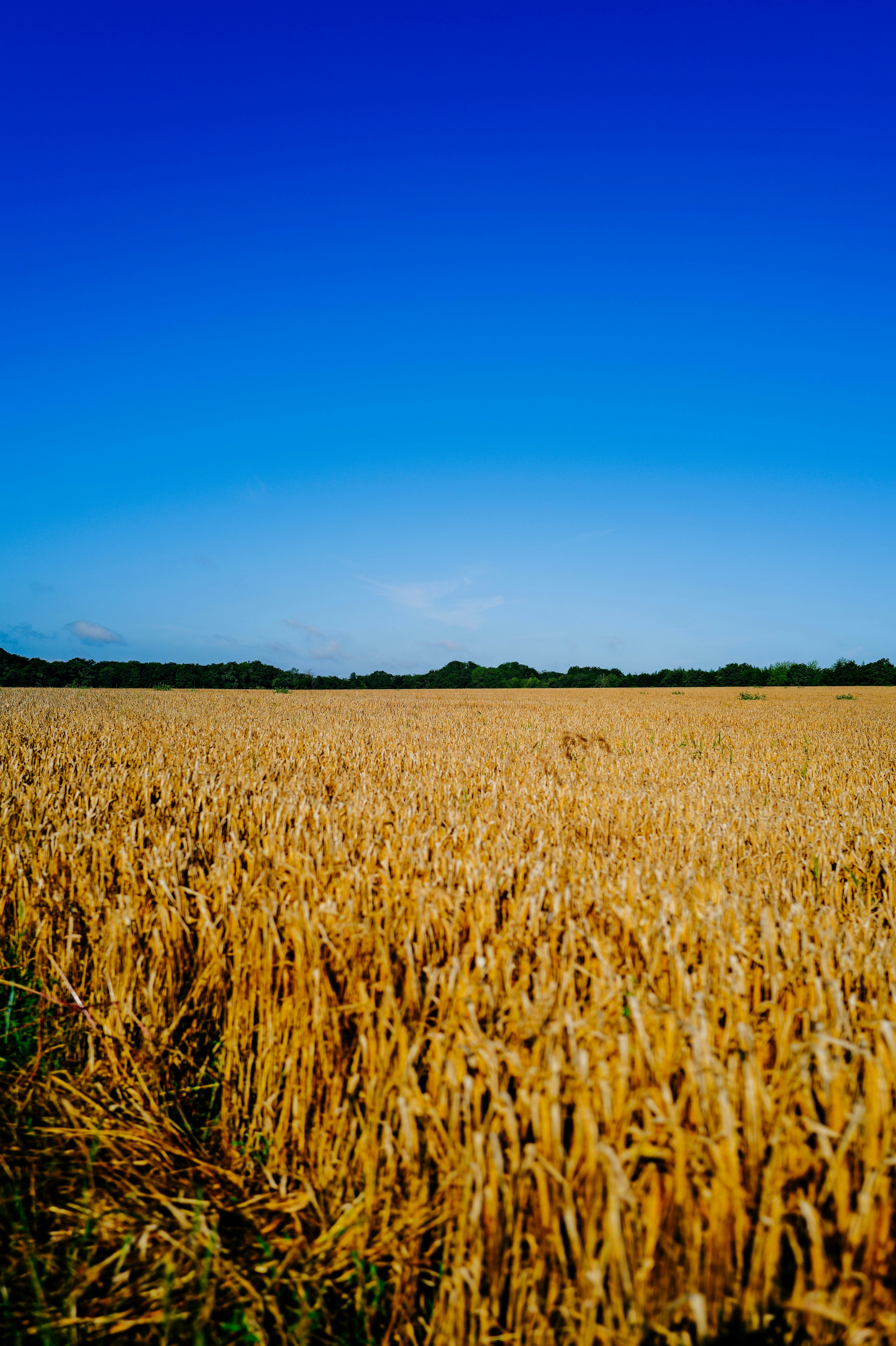 Photo by adrienolichon