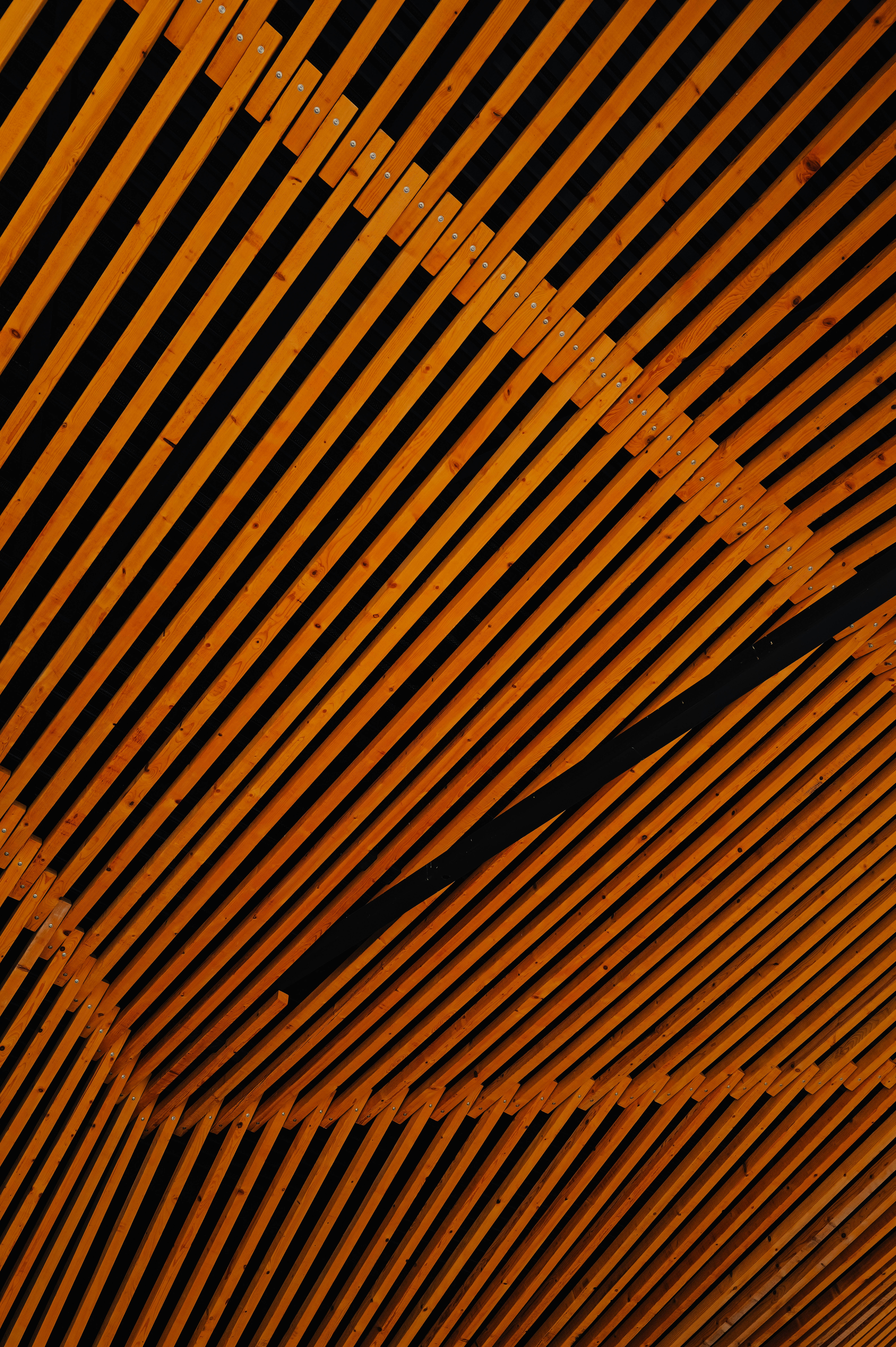 Photo by adrienolichon