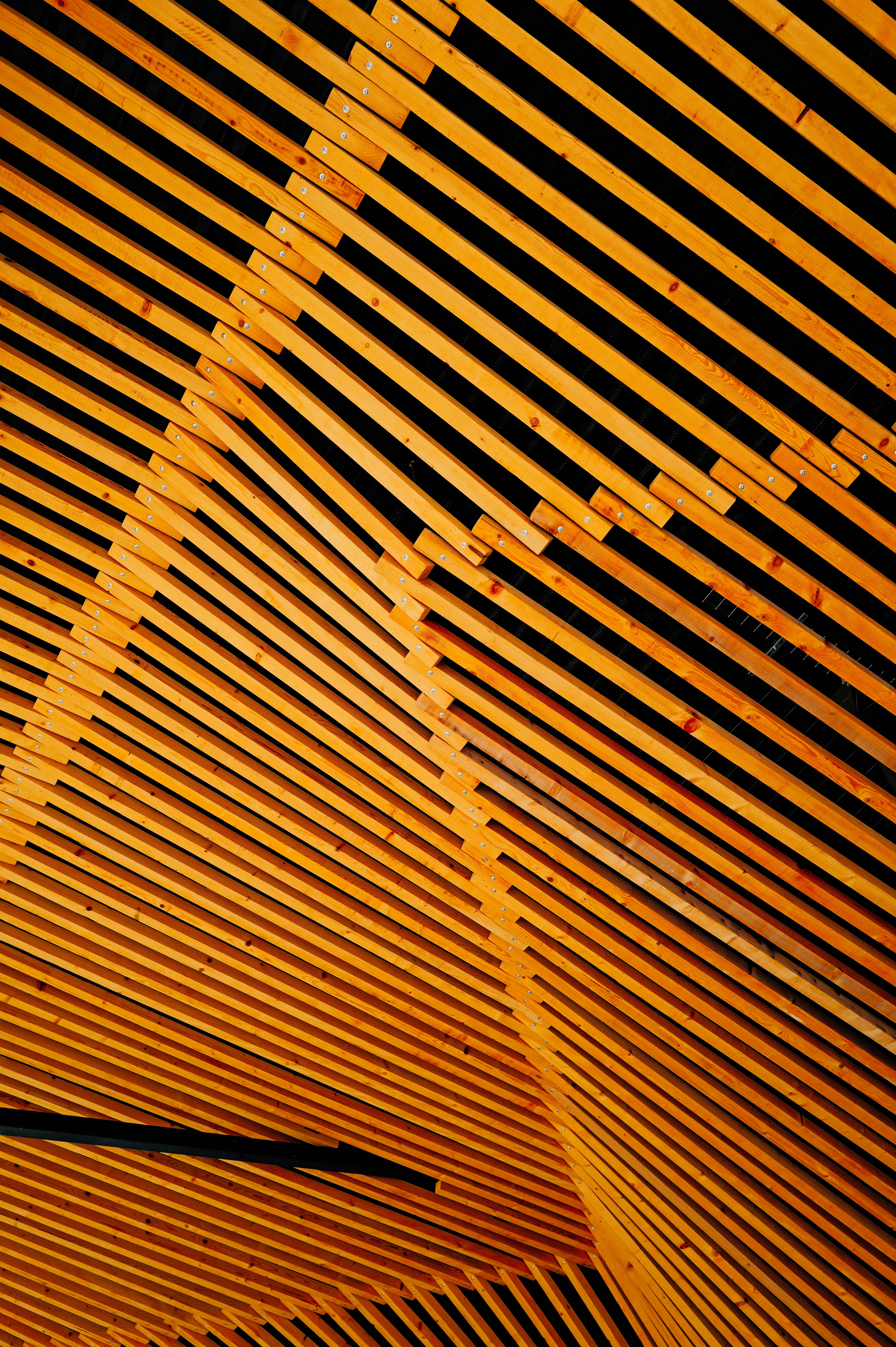 Photo by adrienolichon