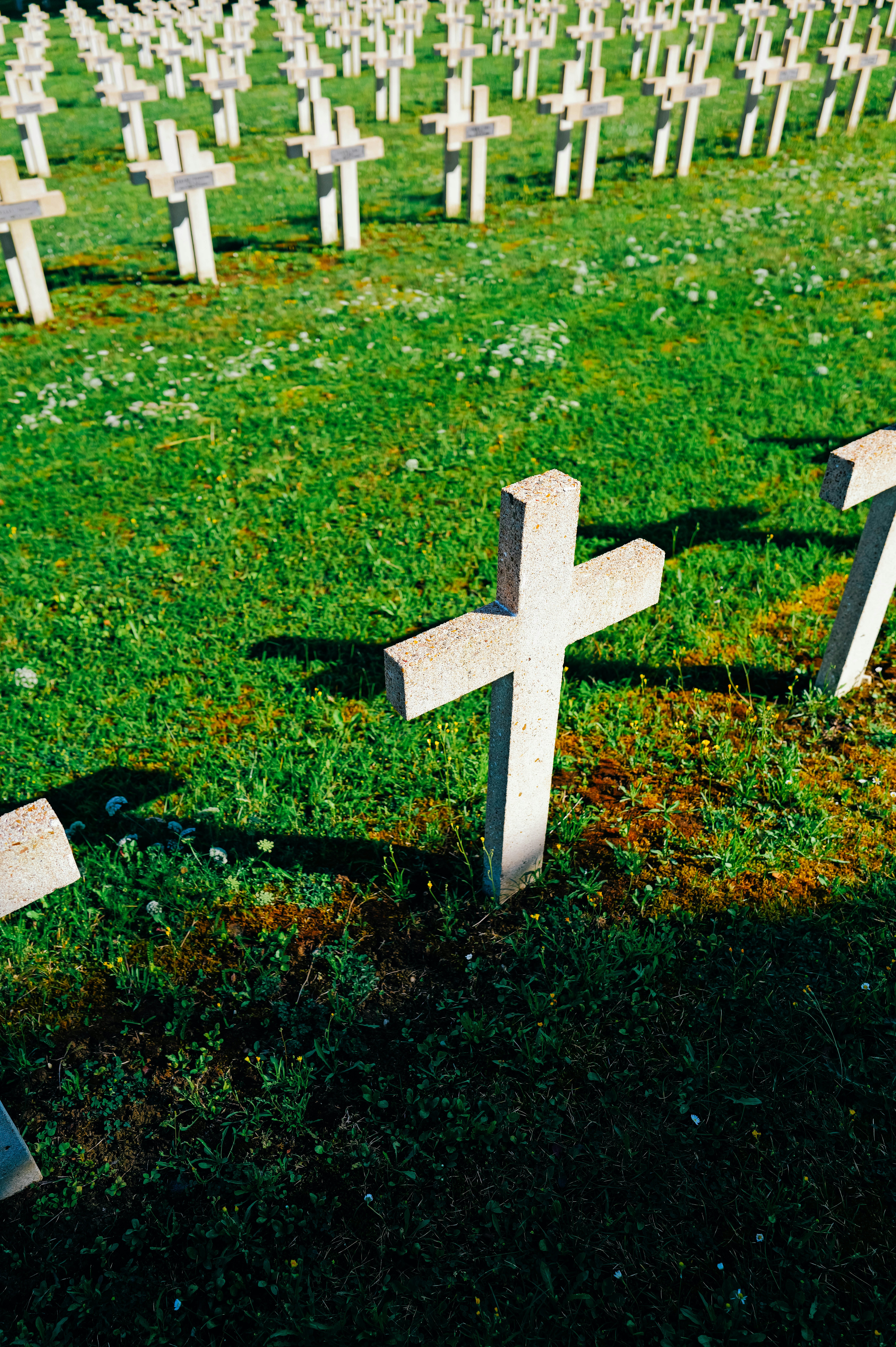 A grassy field with rows of crosses in it photo – Free Cross Image on ...