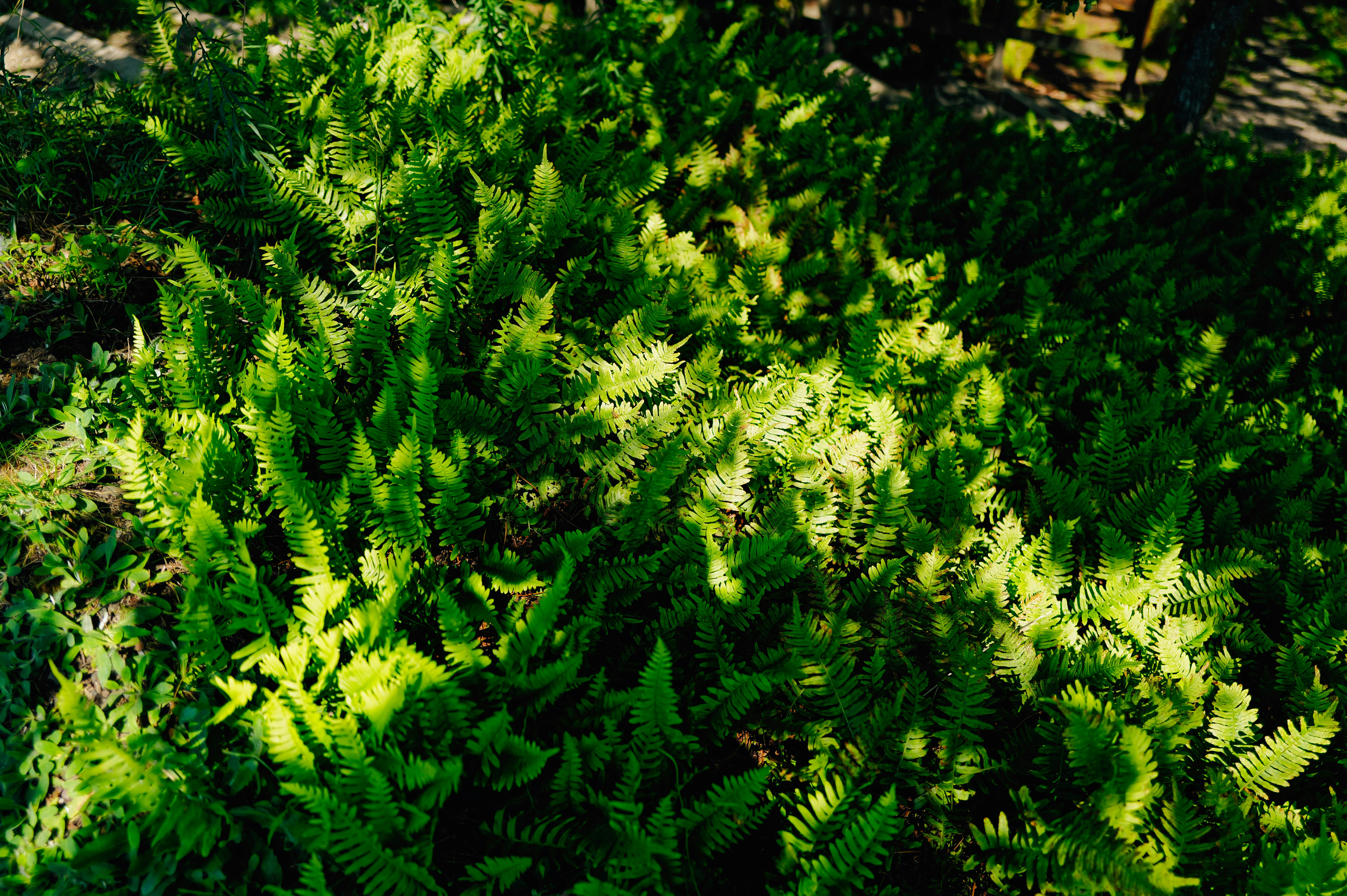 Photo by adrienolichon