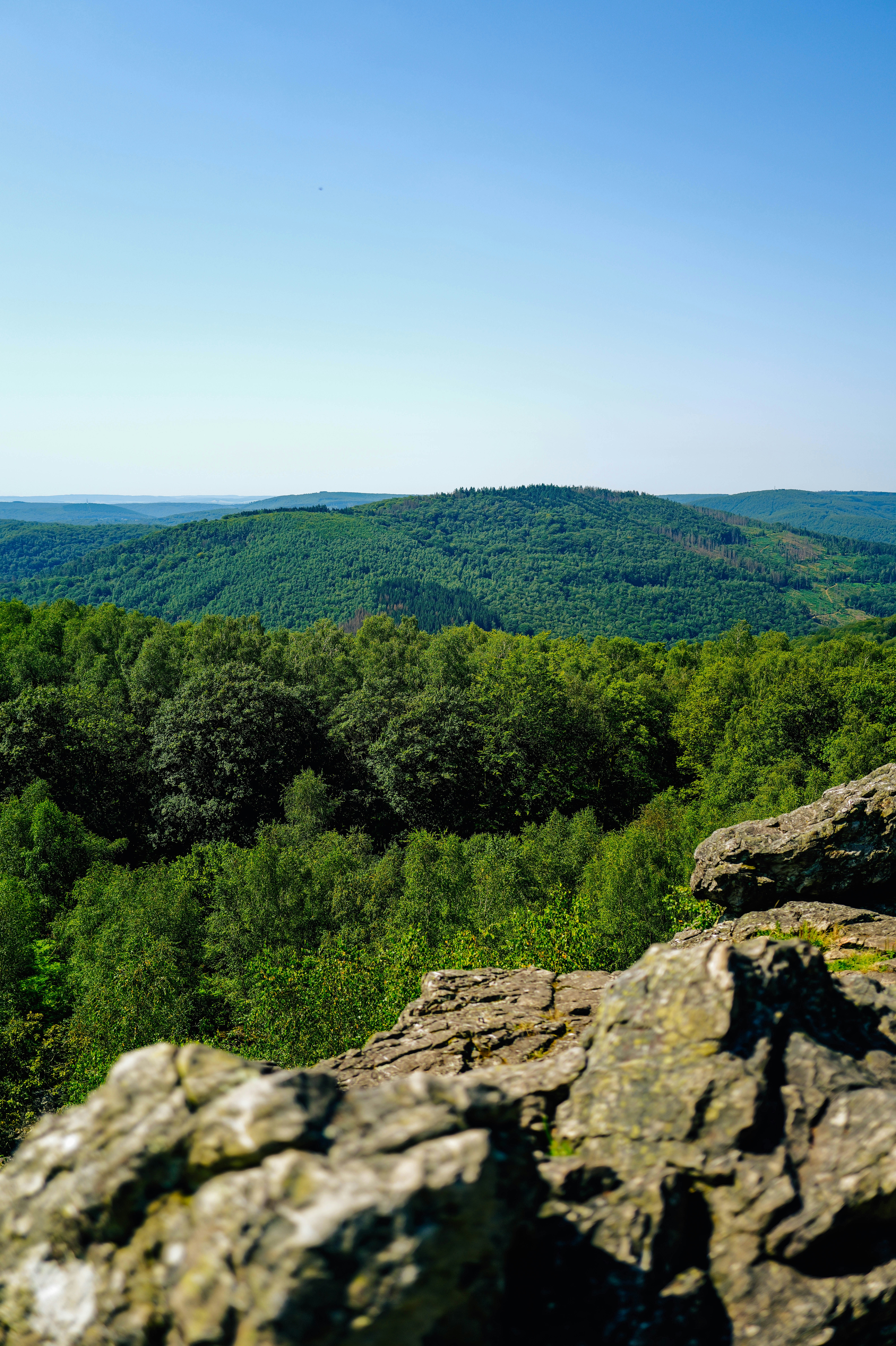 Photo by adrienolichon