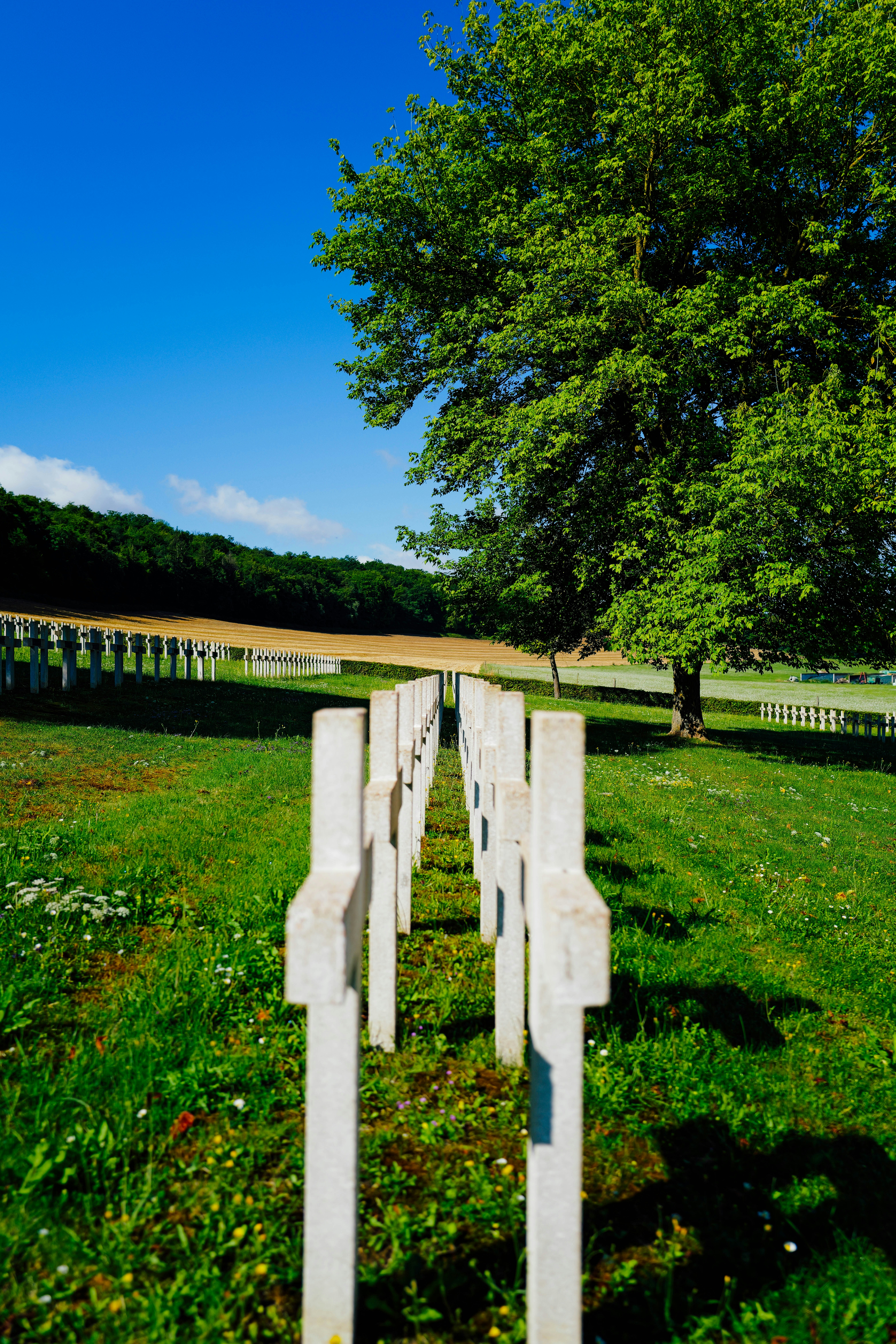 Photo by adrienolichon