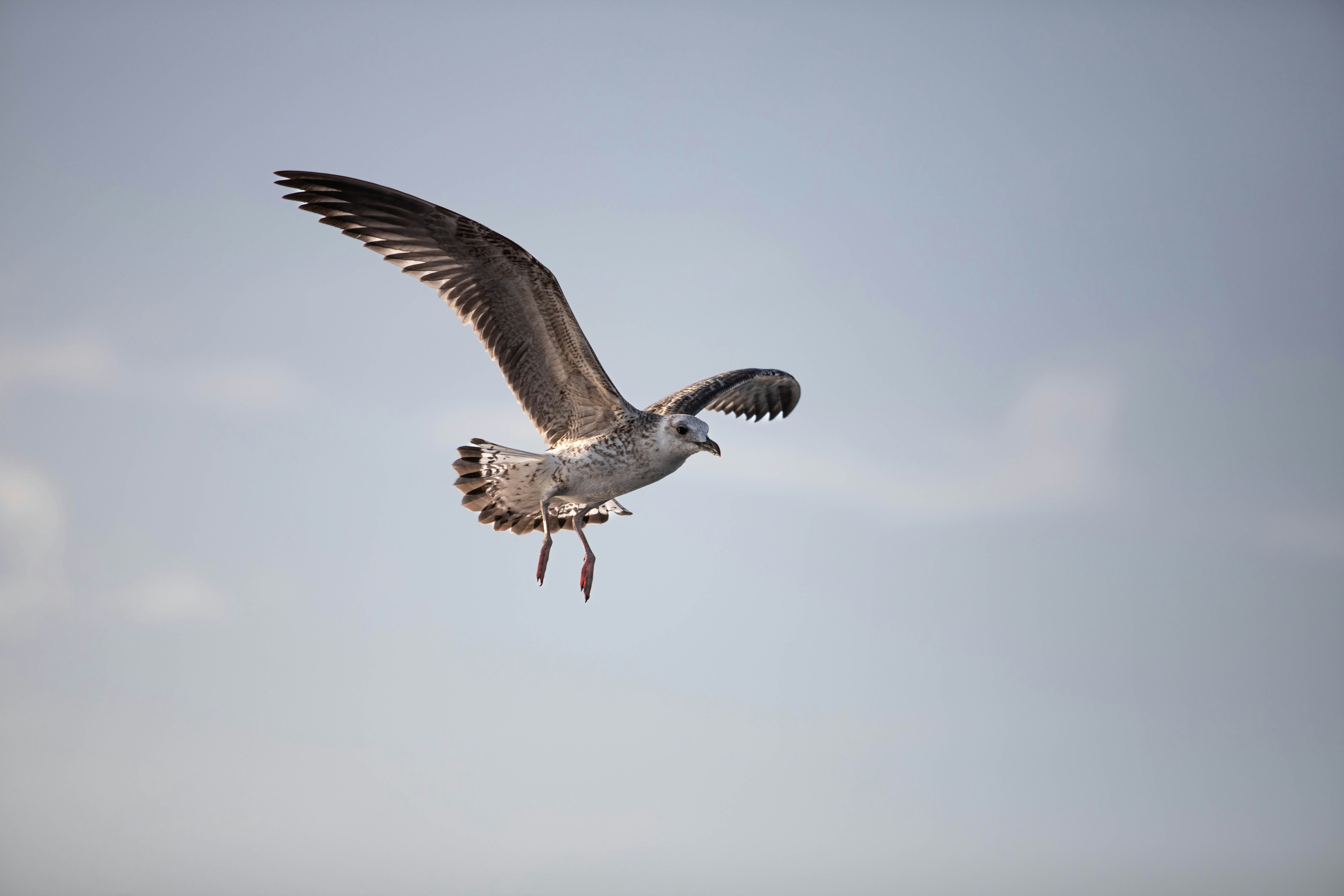 Photo by ben_brunner