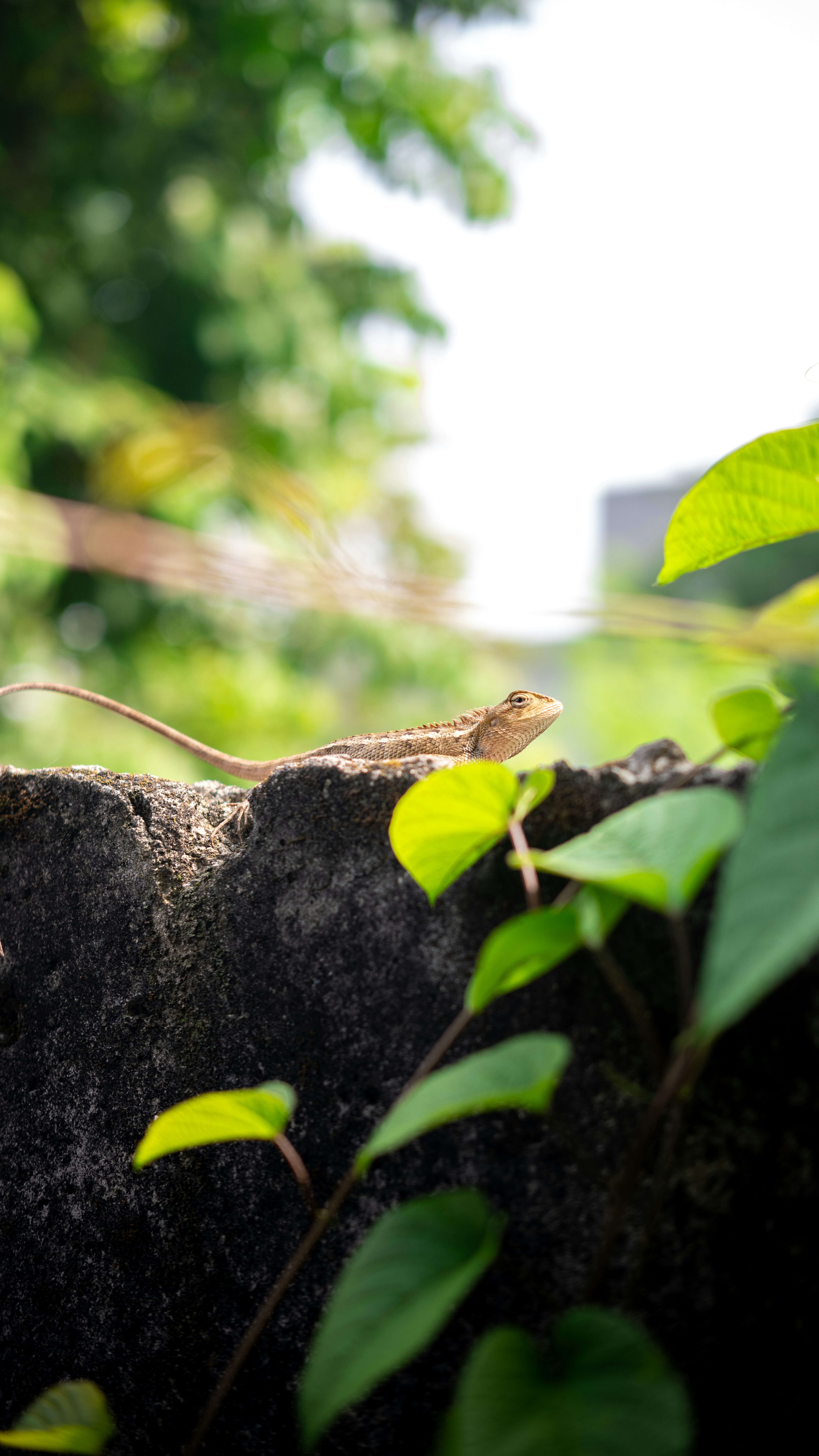 Photo by adityabunardi