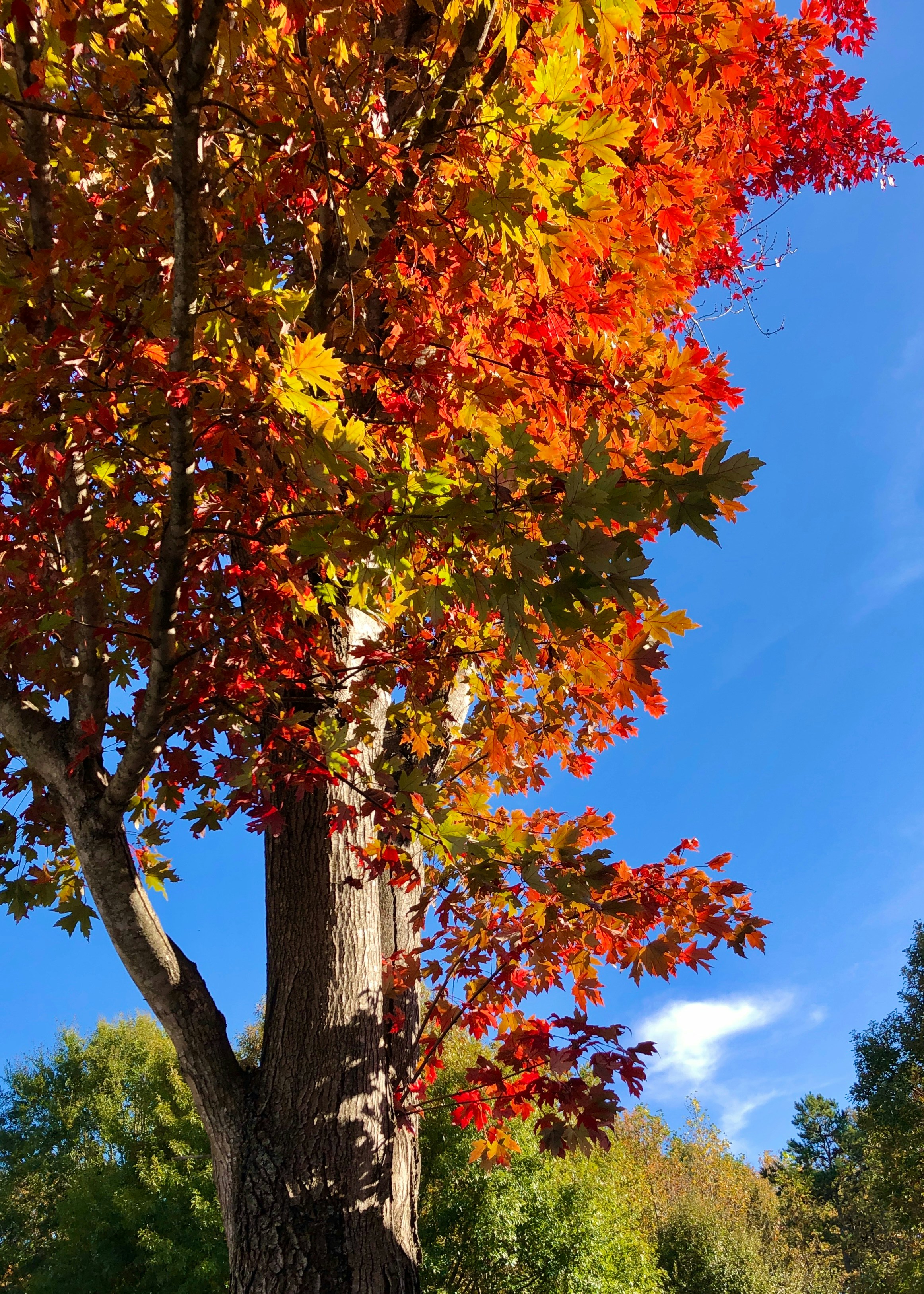 Photo by brookielove1994