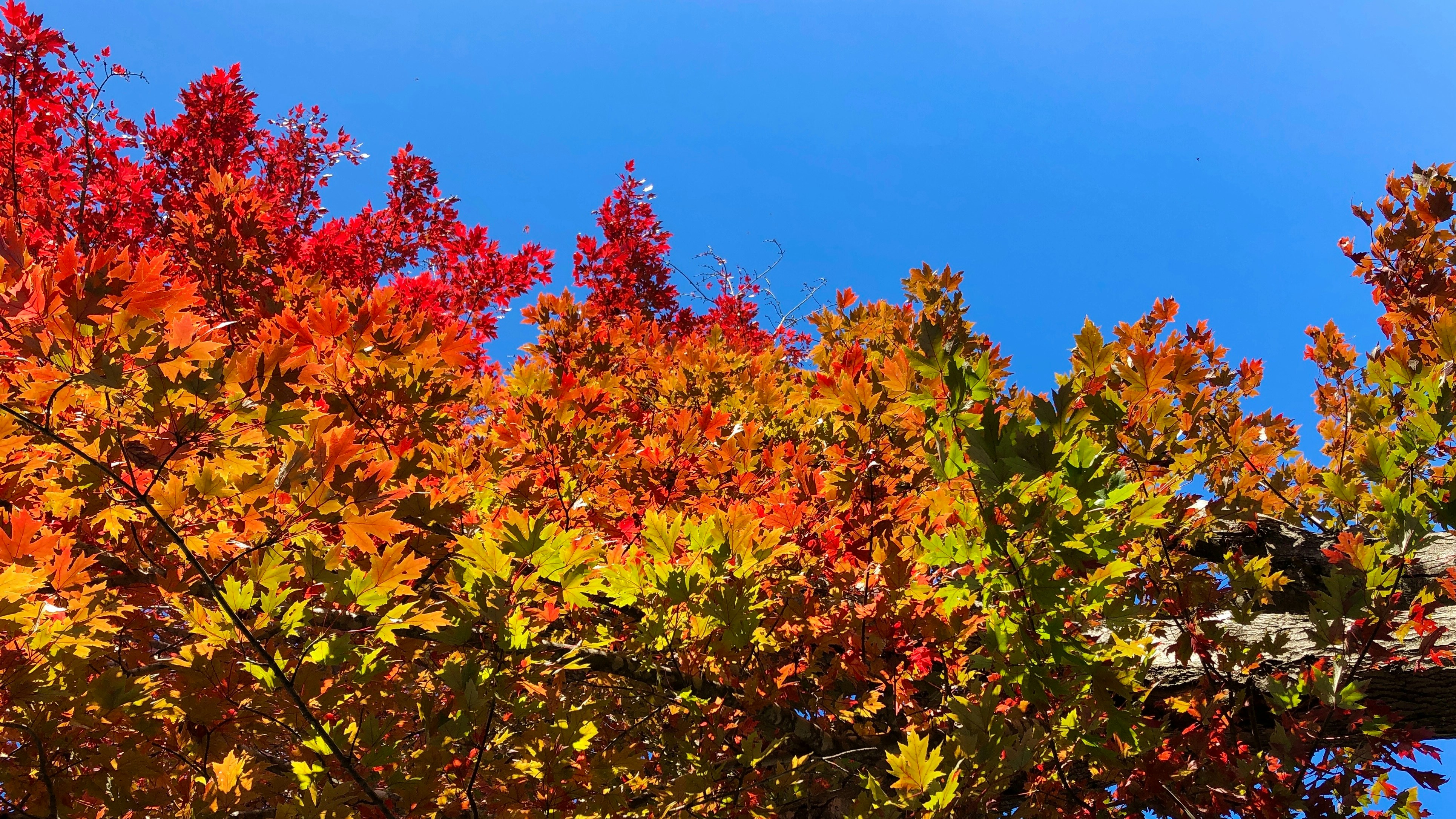 Photo by brookielove1994