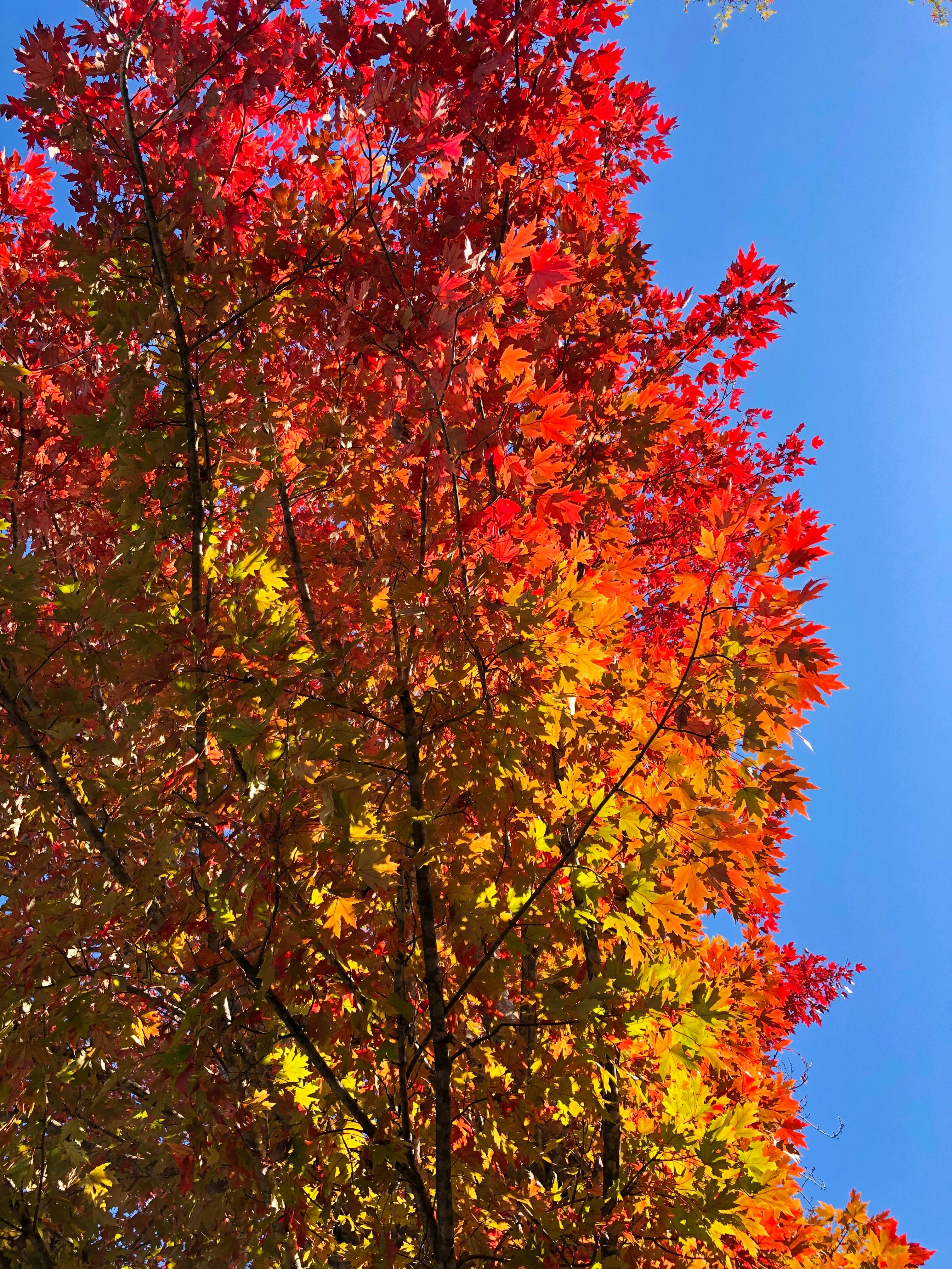 Photo by brookielove1994