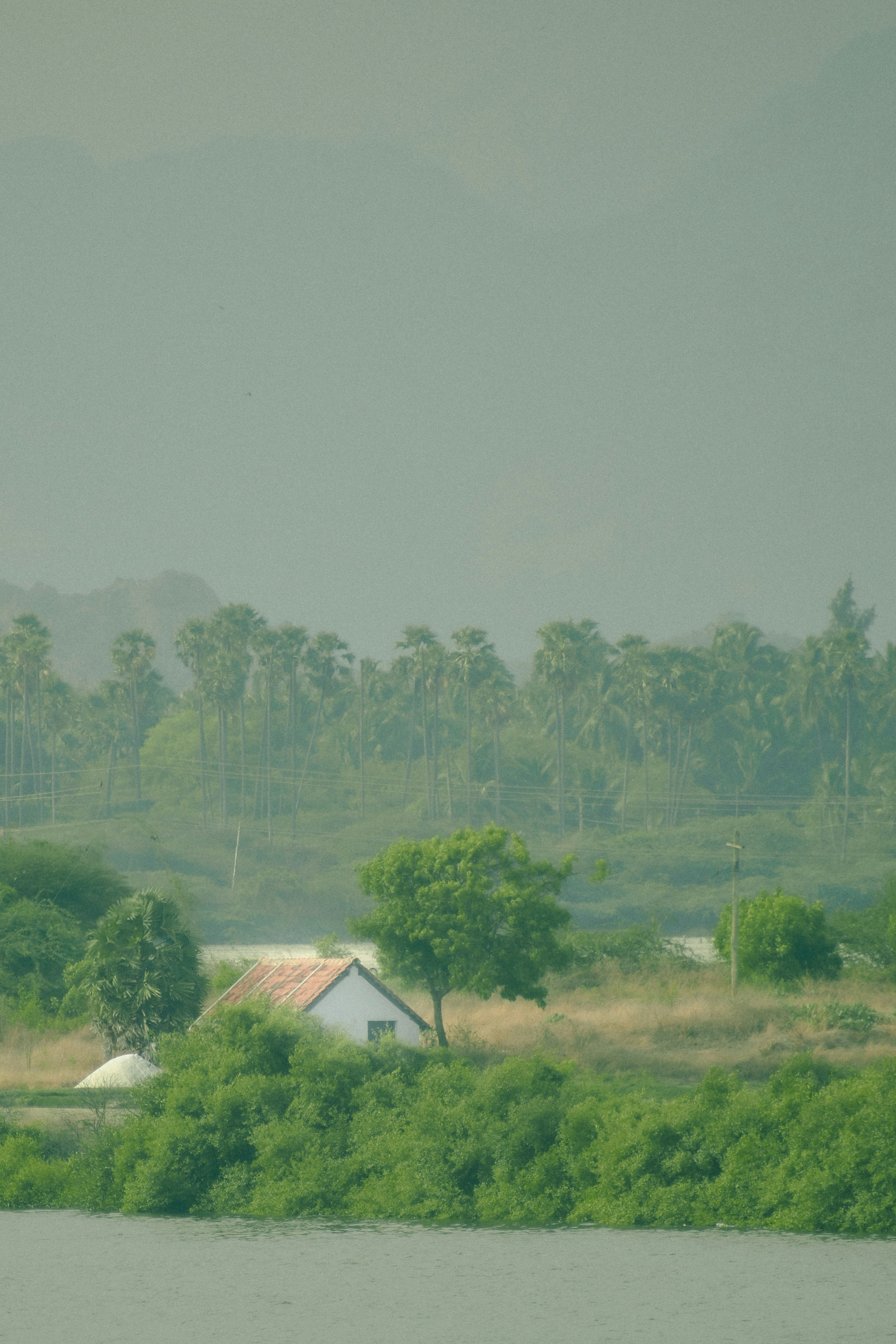 Photo by jebinephrimraj_