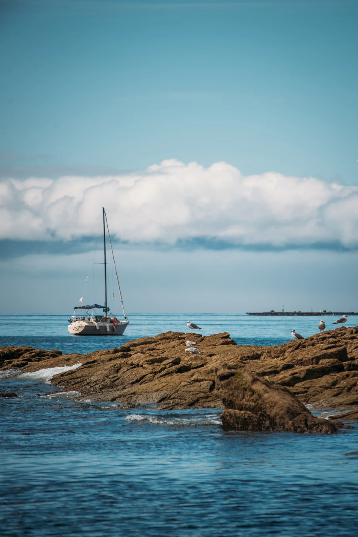 Velero — Alberto Gasco