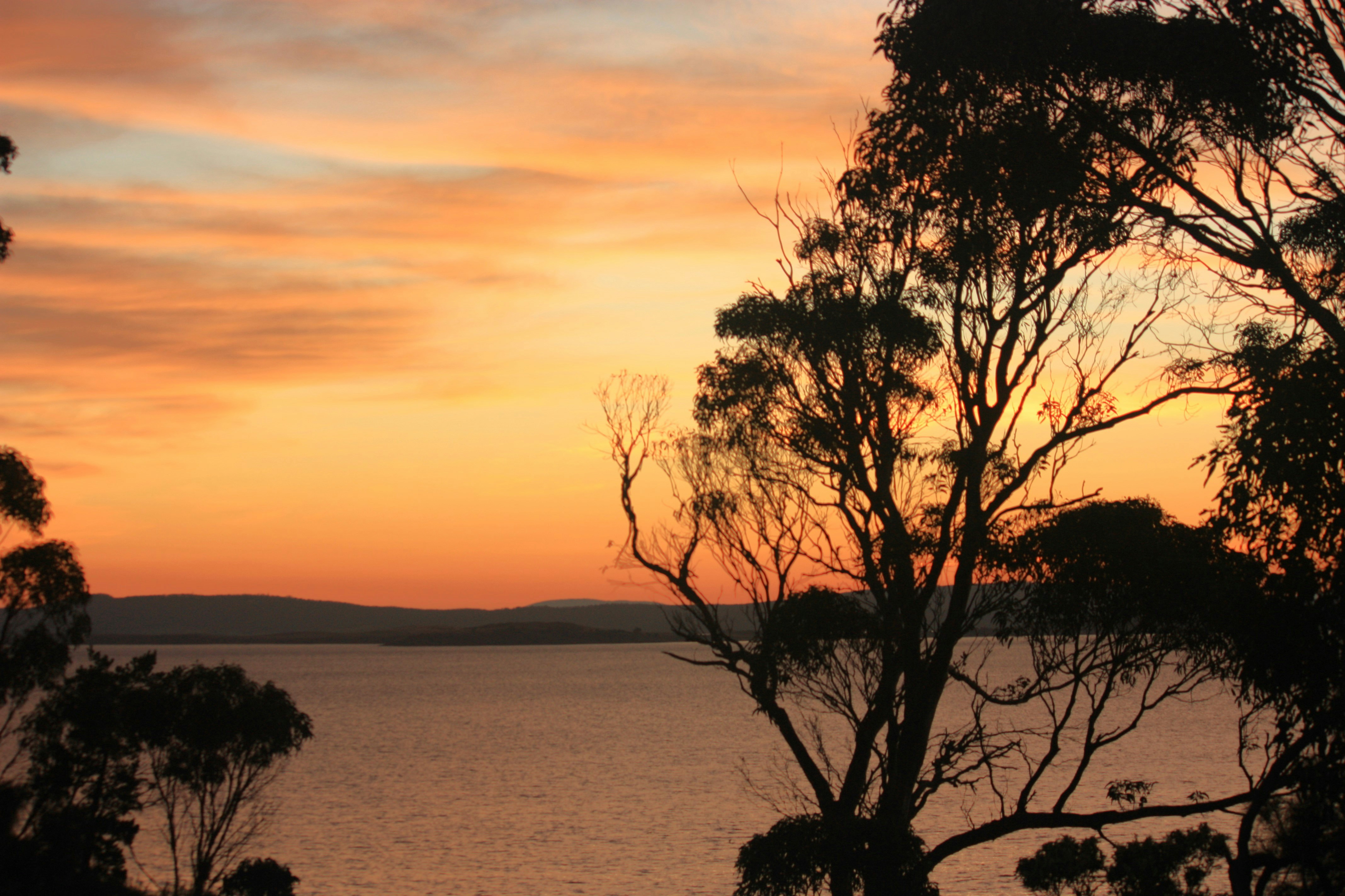 Una vista del tramonto di uno specchio d'acqua con alberi