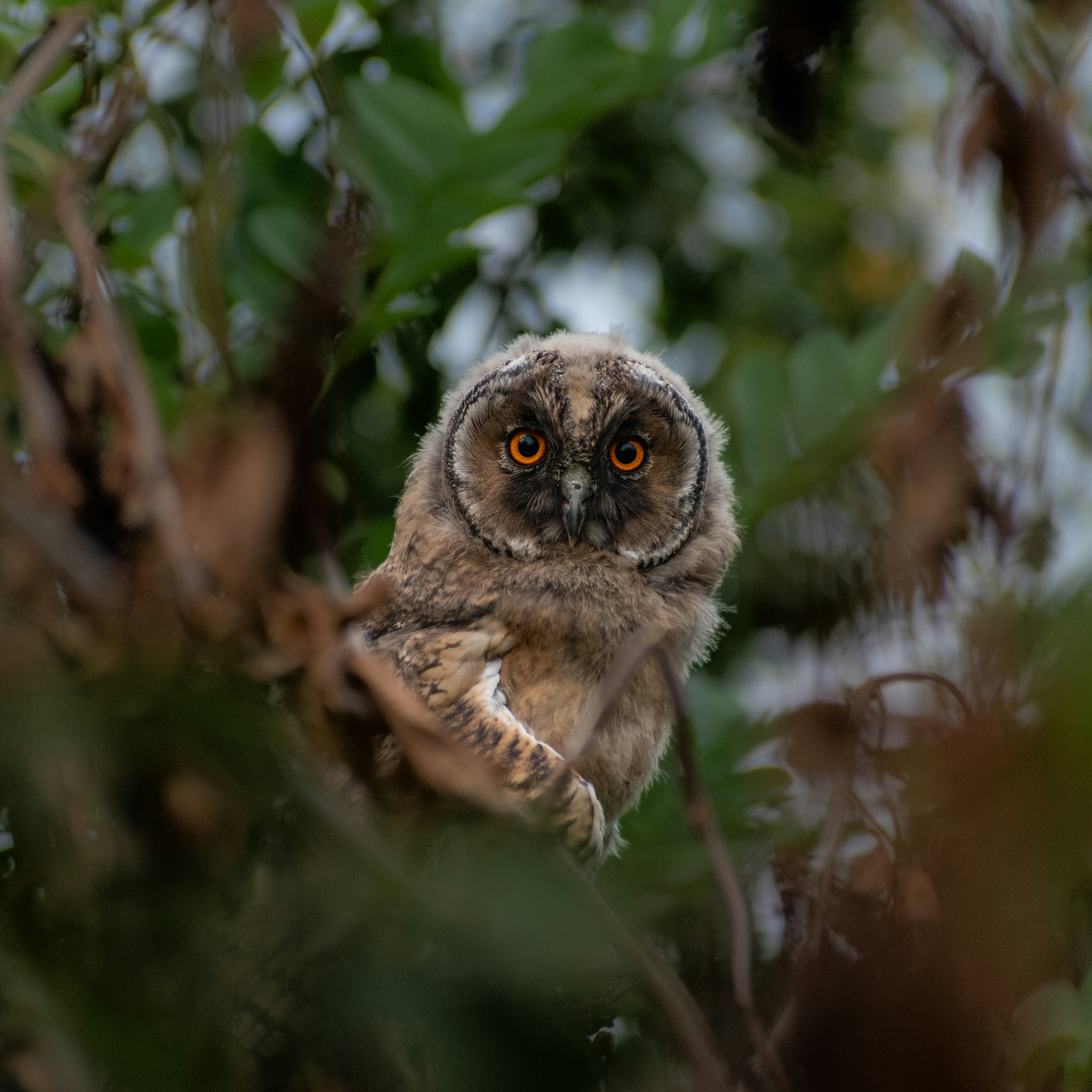 Photo by milan_djordjevic