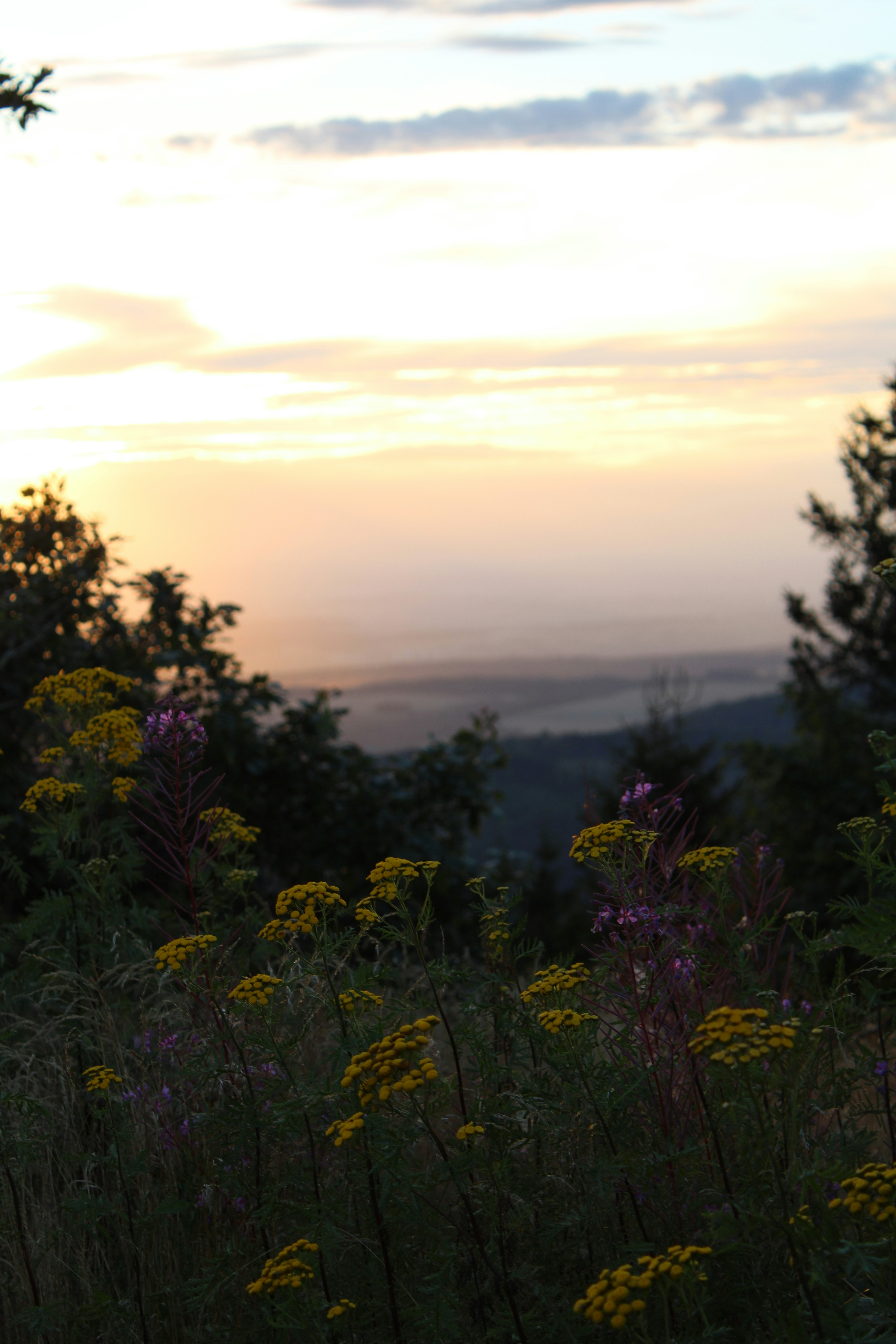 Photo by janjobczyk