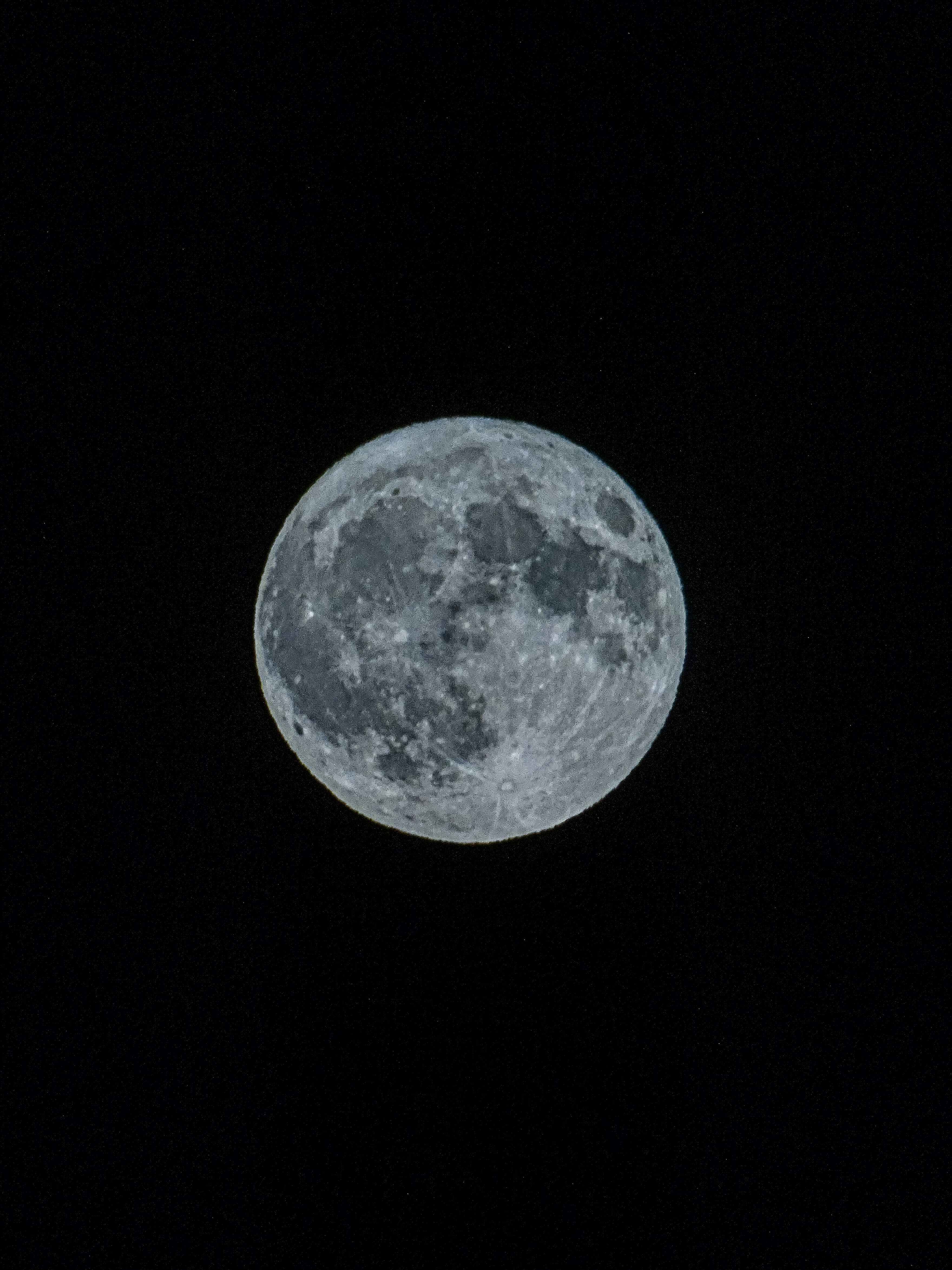 Photo by phozebyzemachado