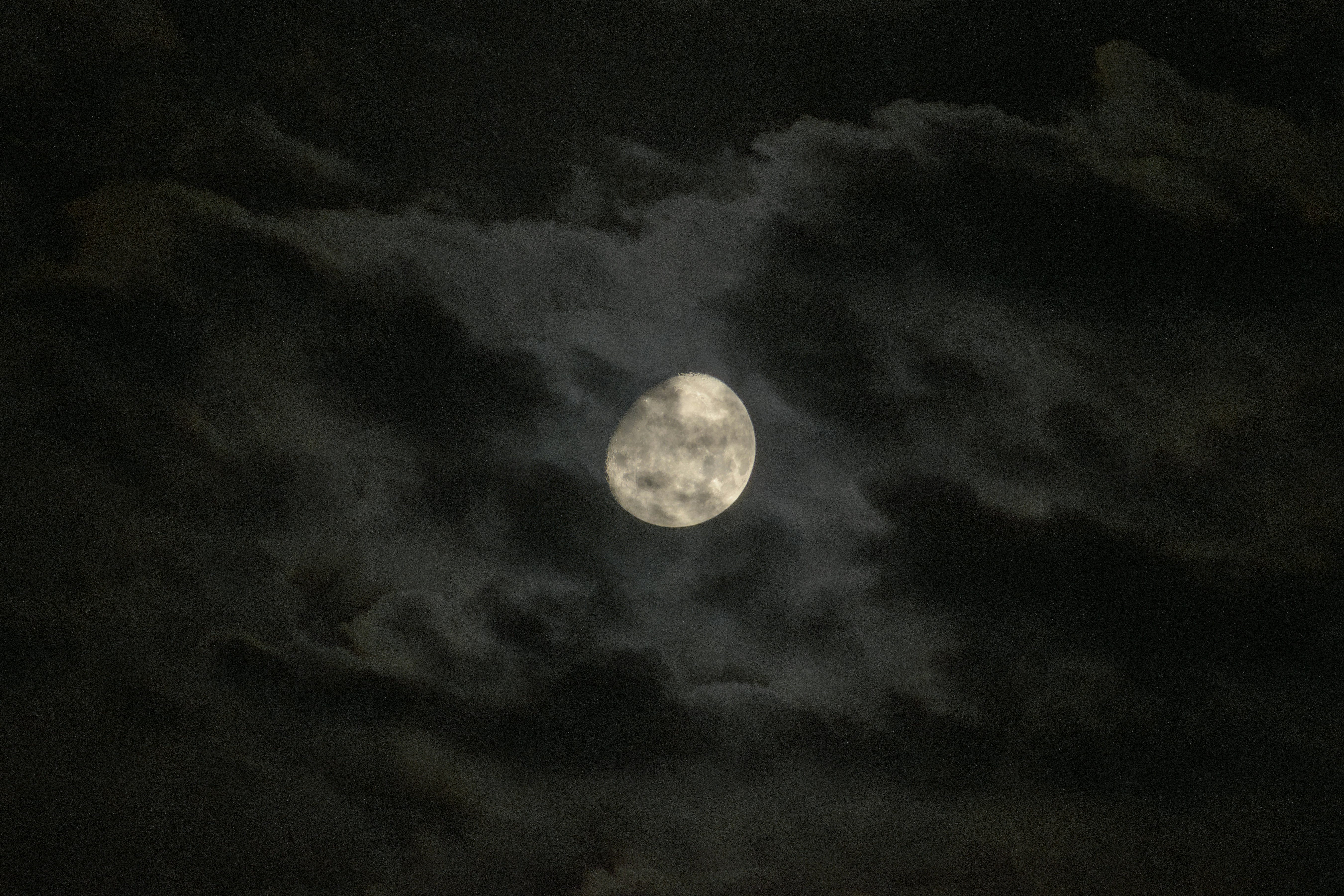 Photo by s_ahmadreza_p