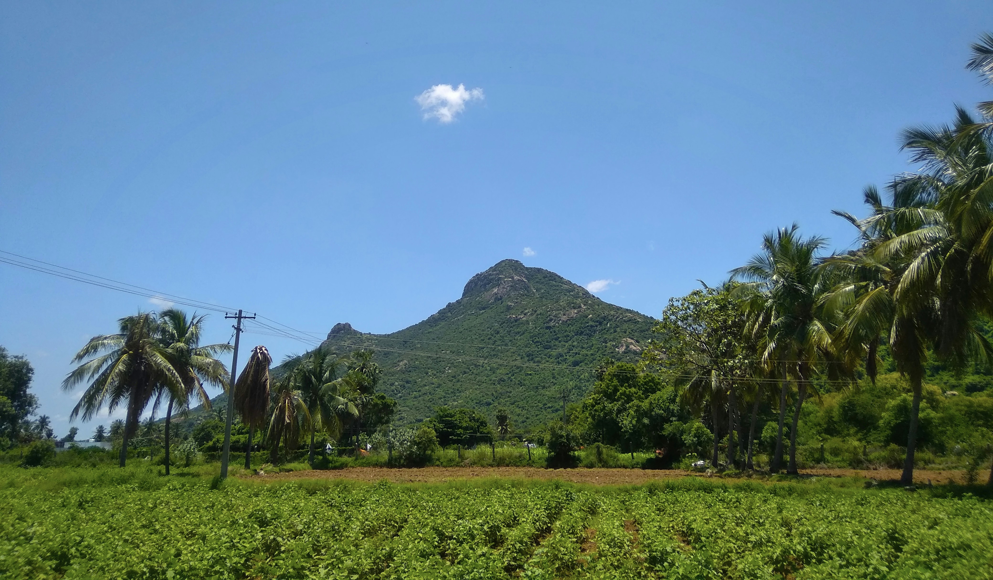 Paisaje rural cubano