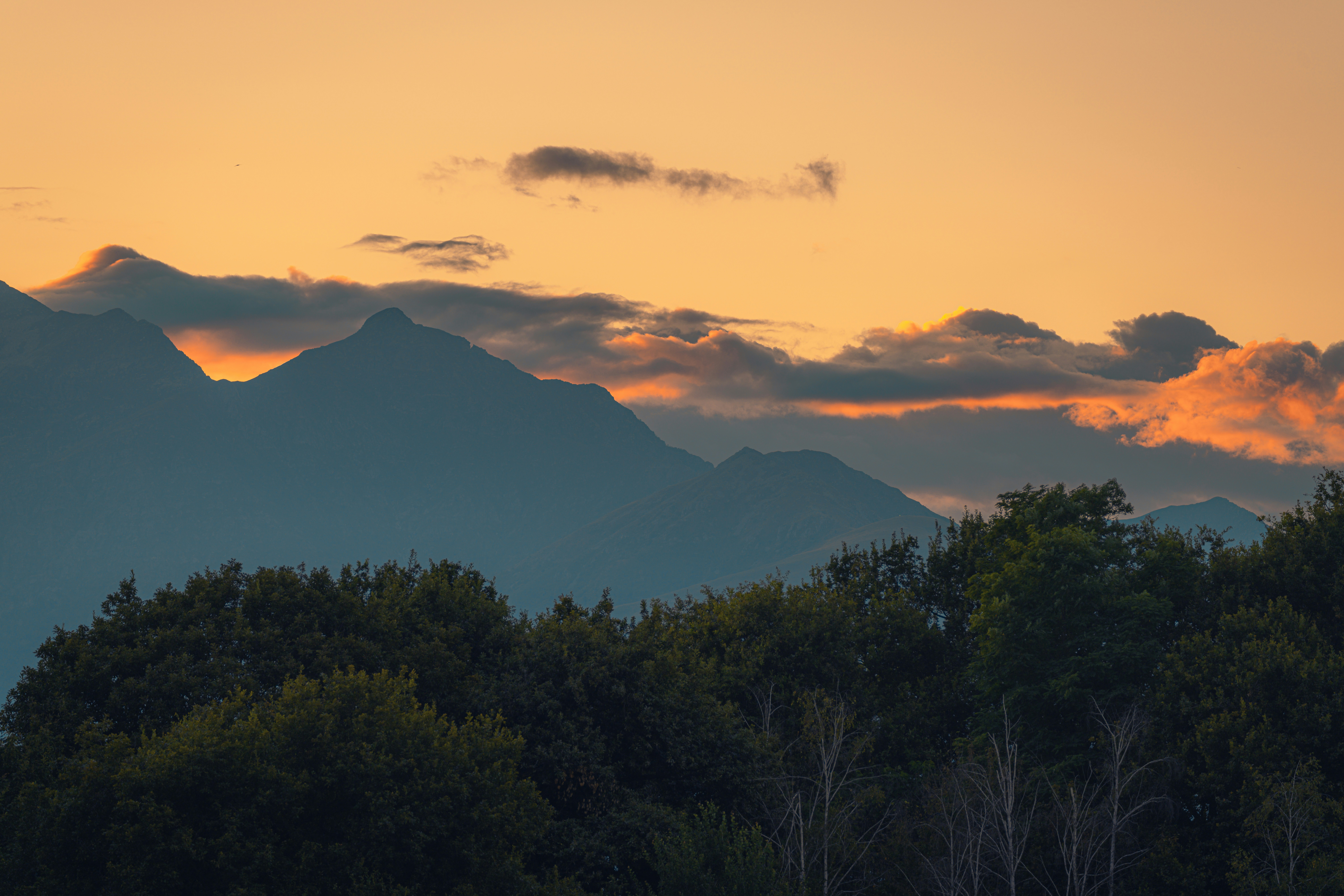 A view of a mountain range with trees in the foreground