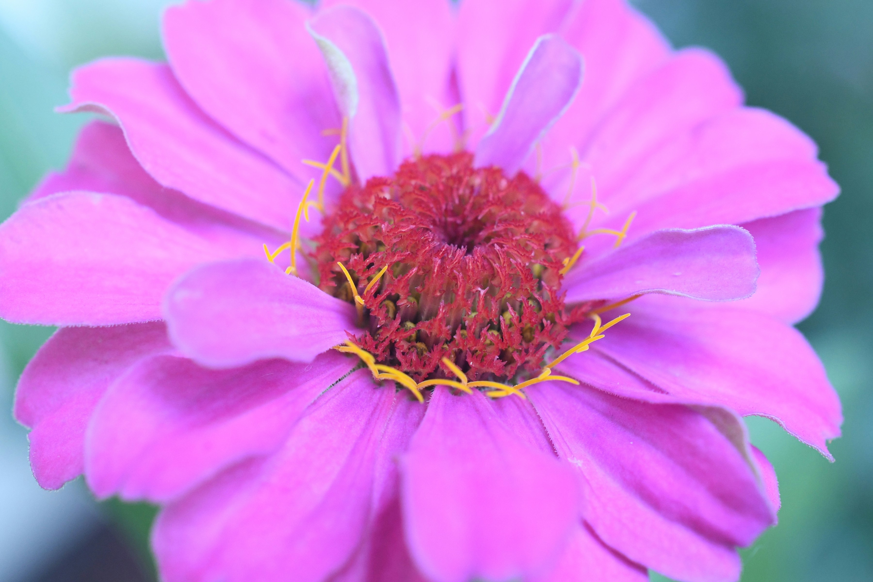 Photo by mikafromuseppa