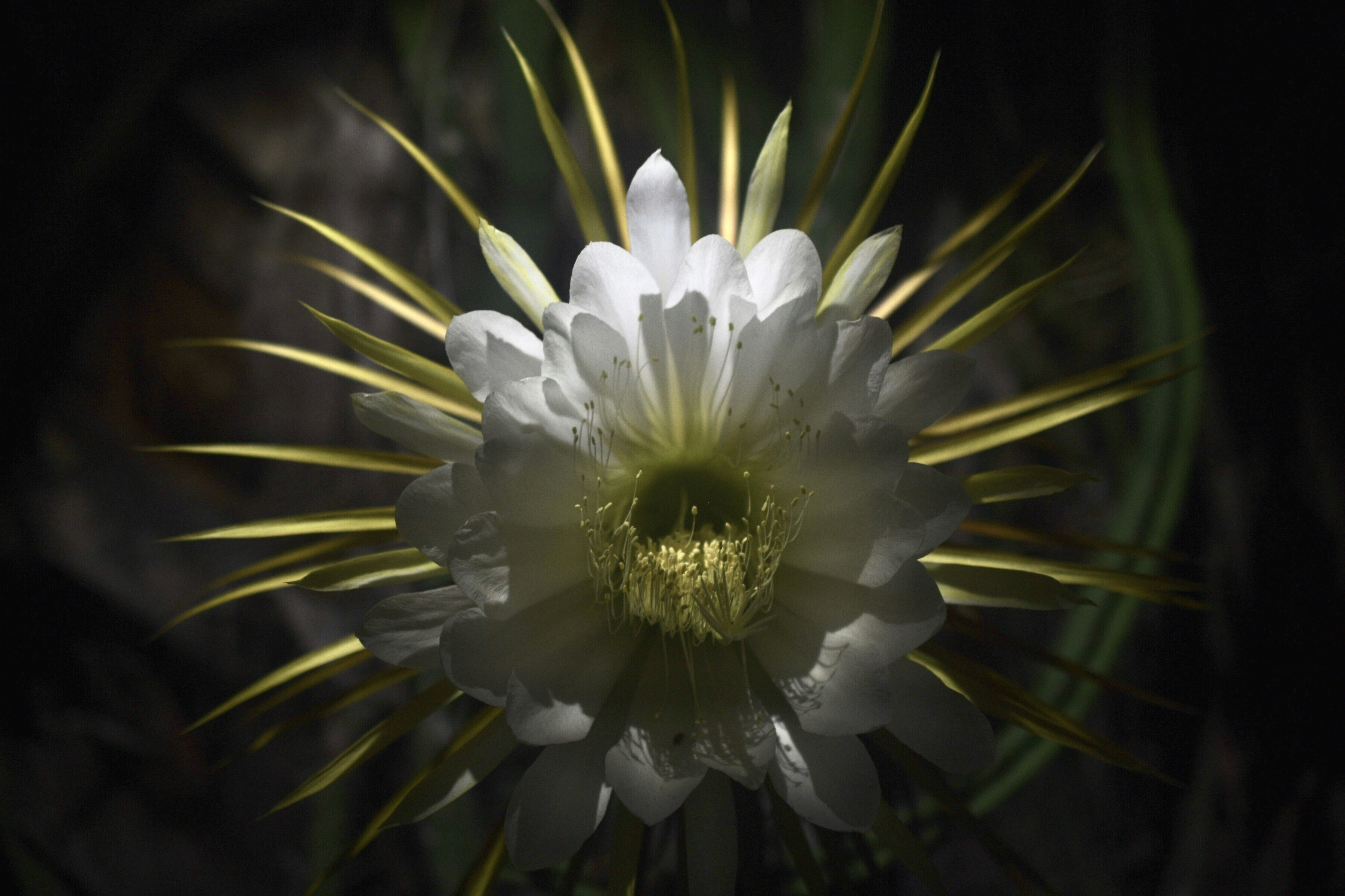 Photo by mikafromuseppa