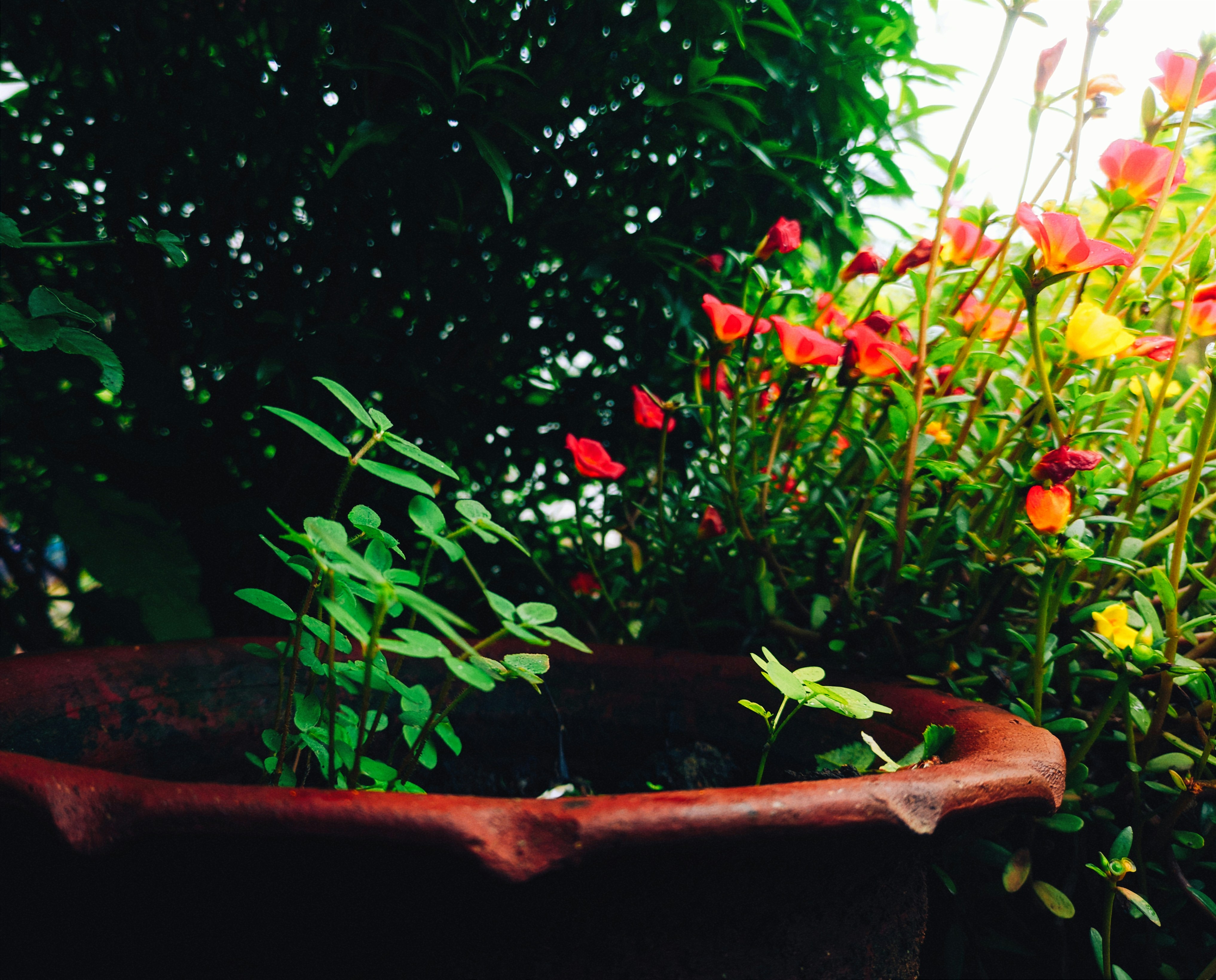 Photo by anshuman0090