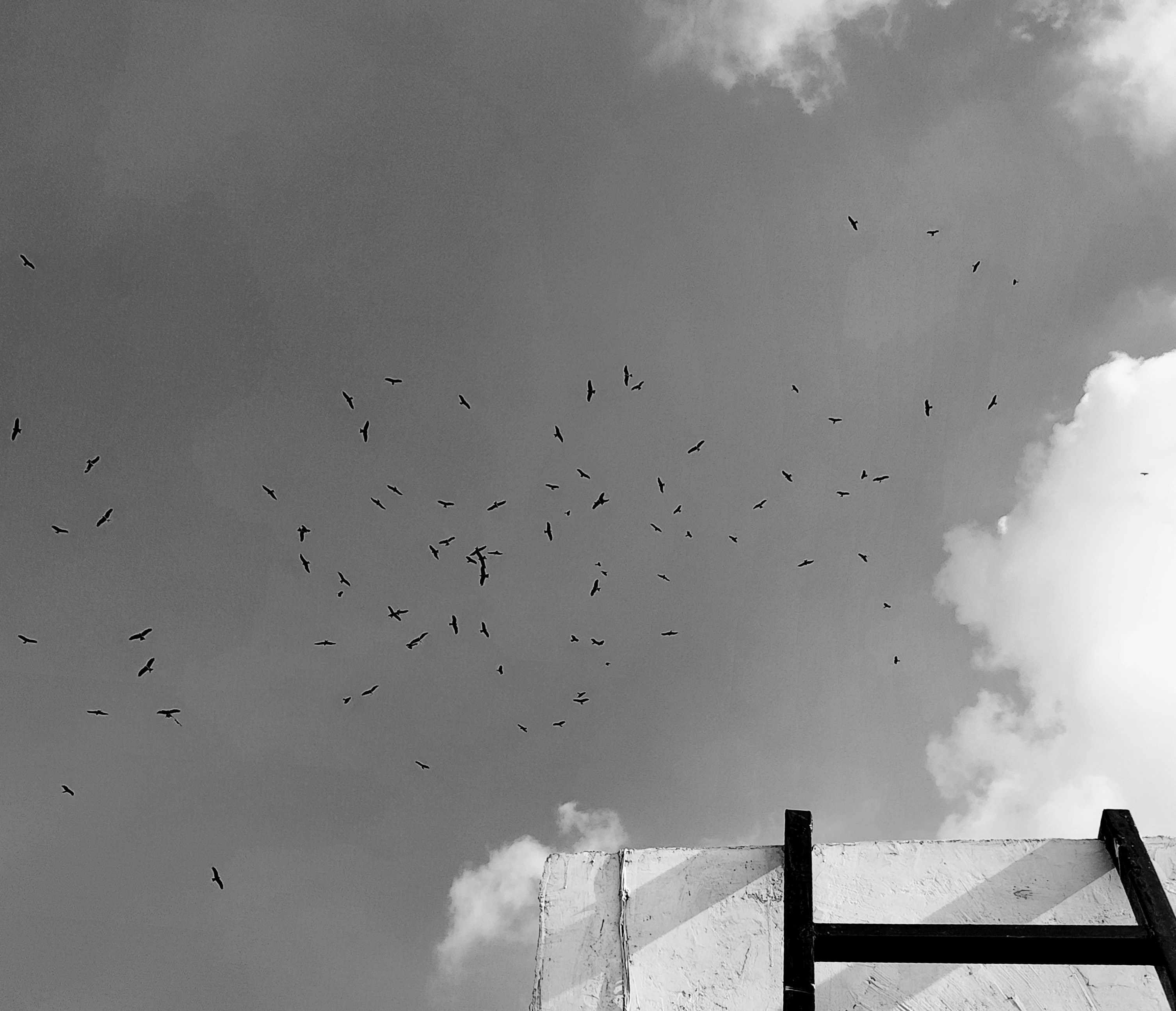 Photo by anshuman0090