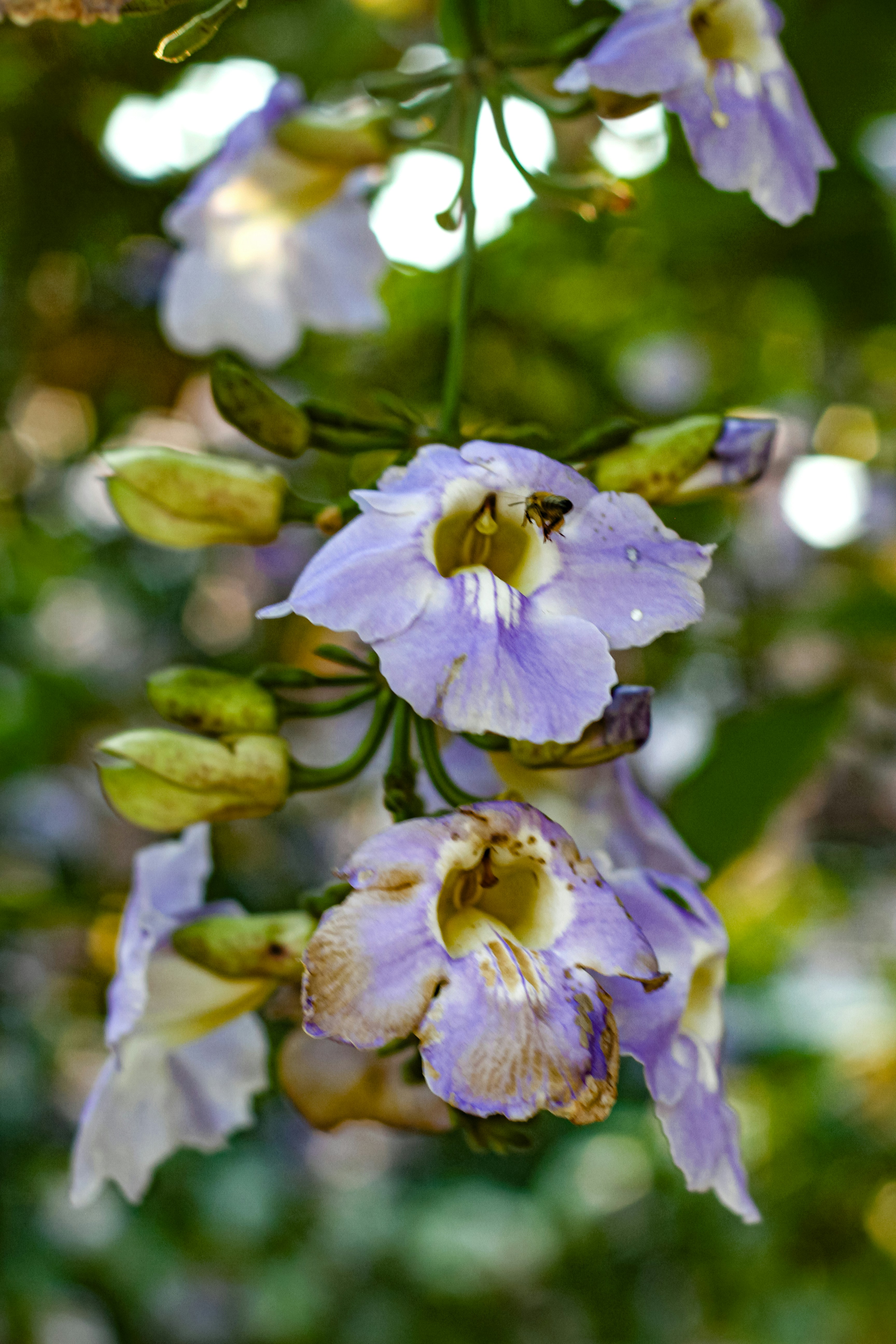 Photo by najoi_designer