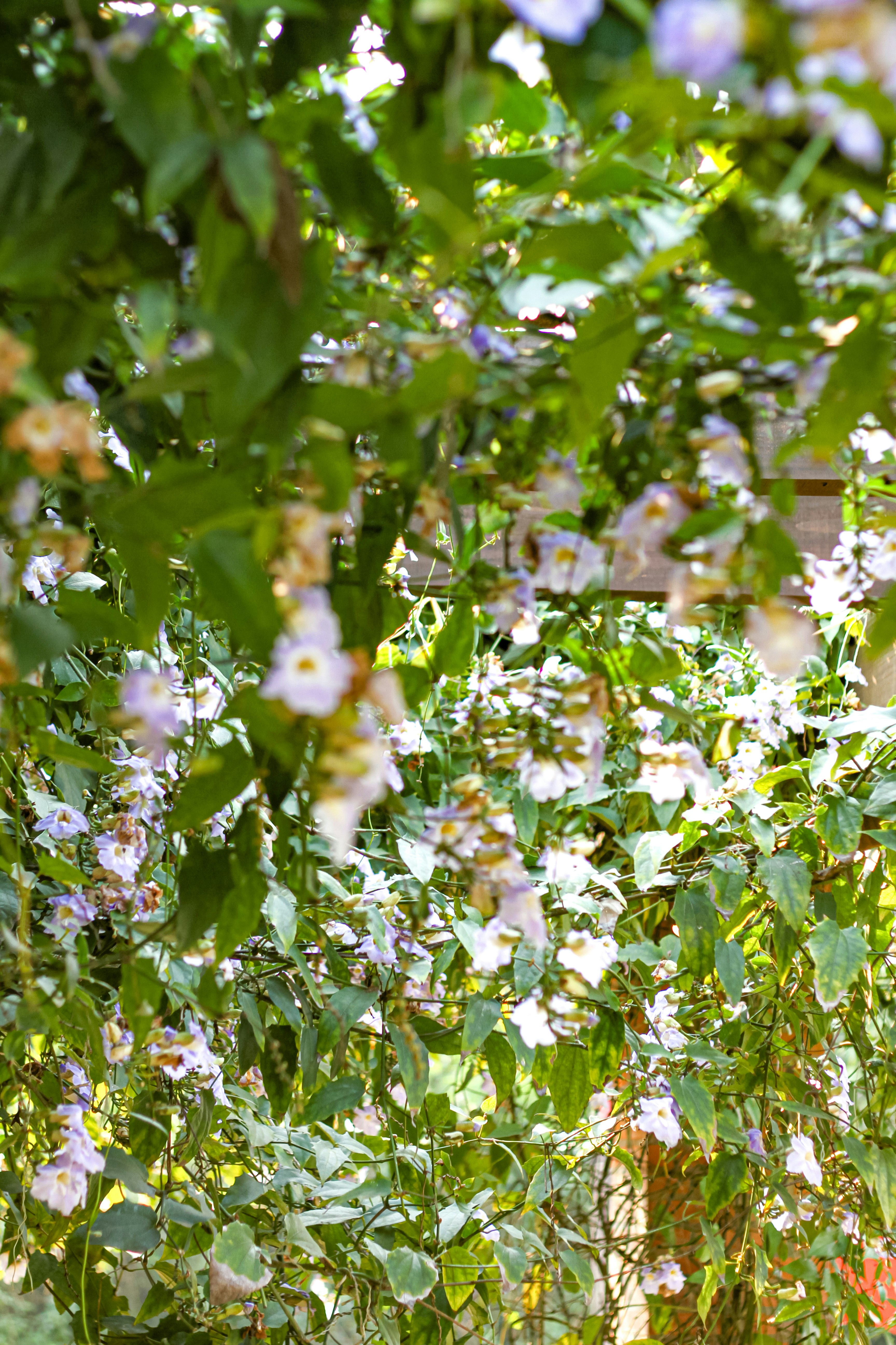 Photo by najoi_designer