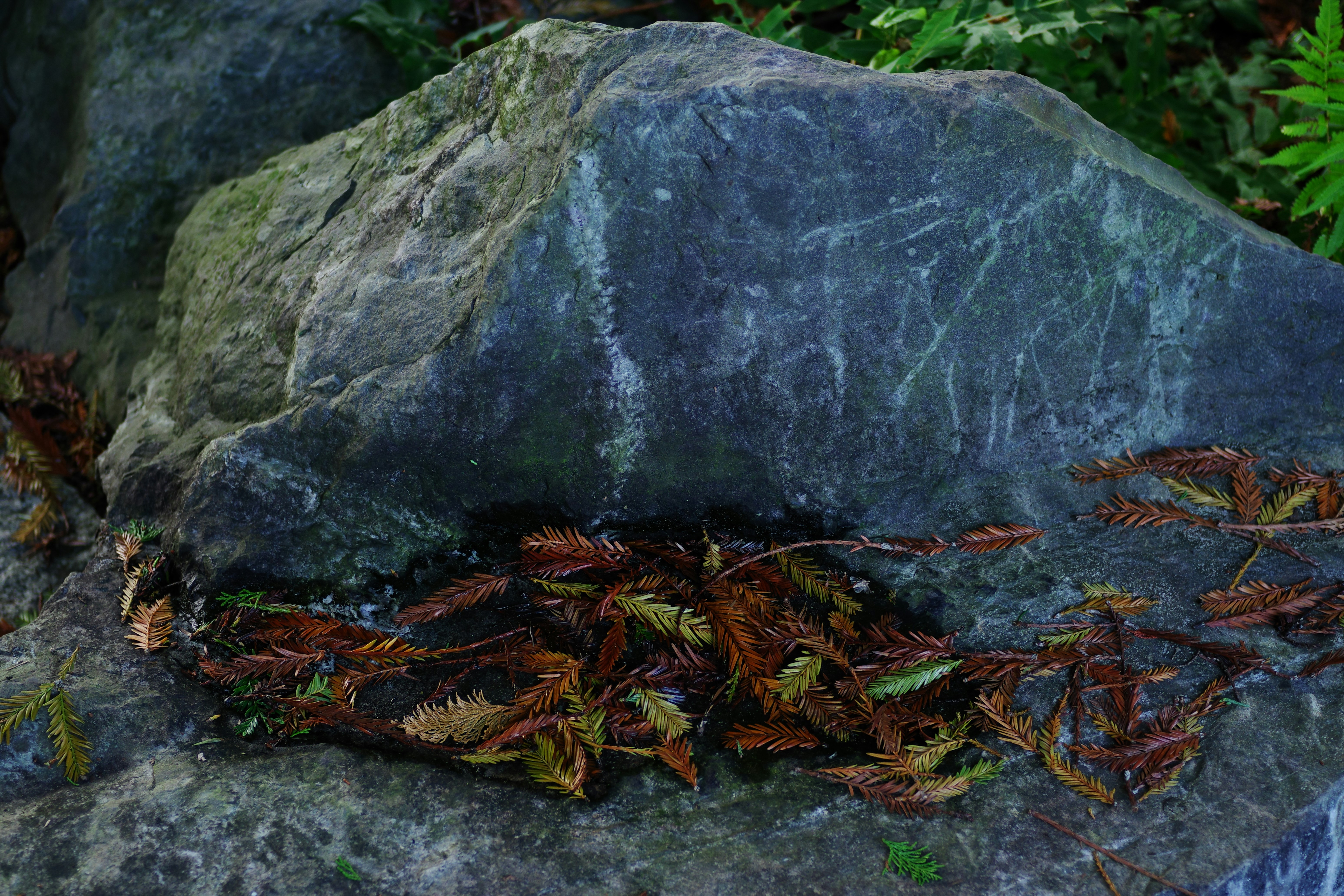 🤯你家還在這樣裝修？設計師絕對不會告訴你的黑幕曝光！