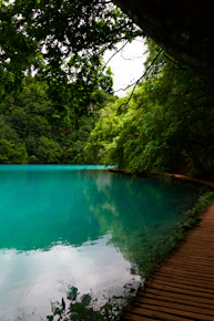 Escenarios de cascada y lagos dentro del Parque Nacional Plitvice en Croacia 