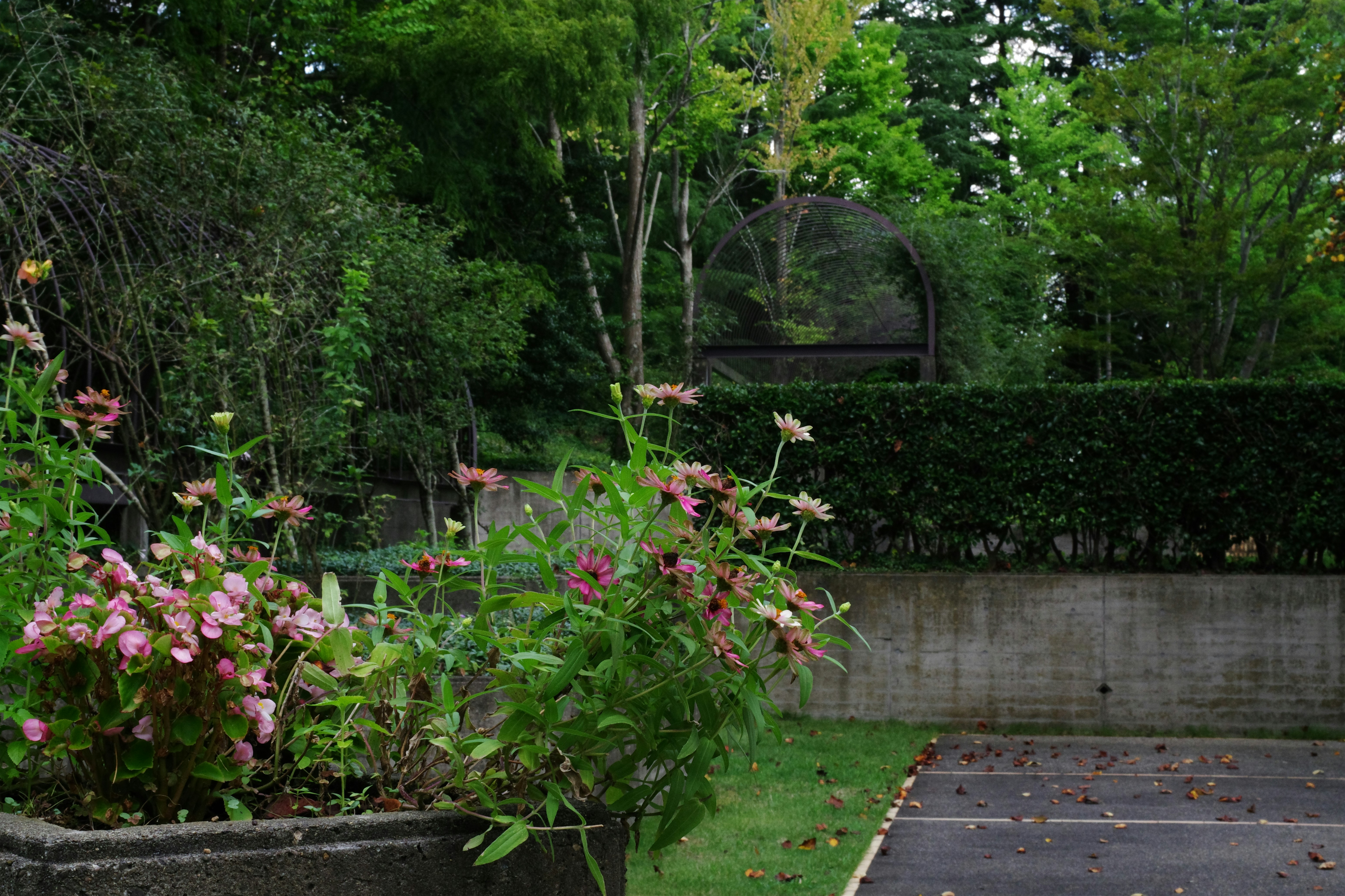 27 Stunning Backyard Garden Ideas to Transform Your Space