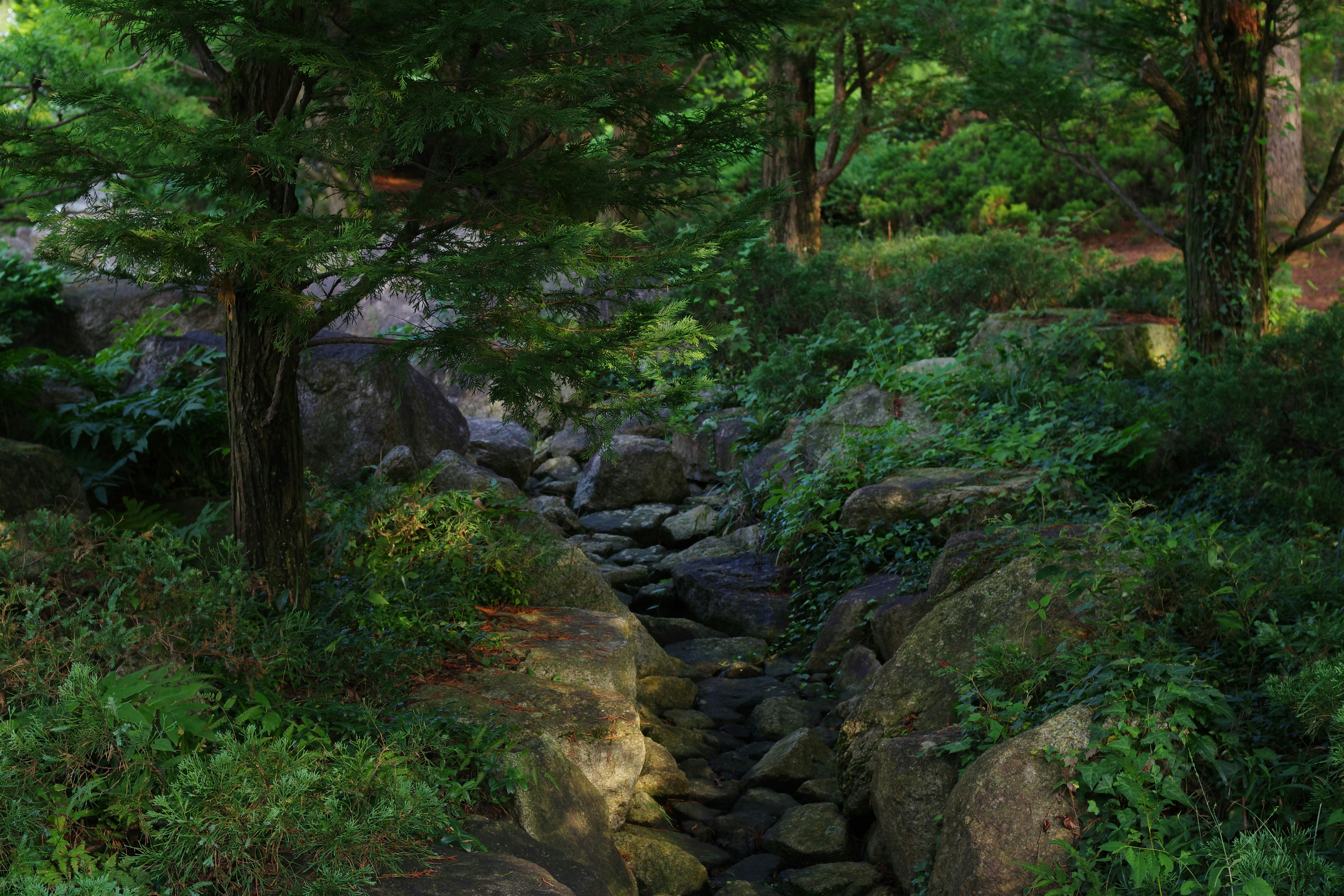 震驚！99%的人都做錯！家居清潔真相曝光，小心毀了你的家！