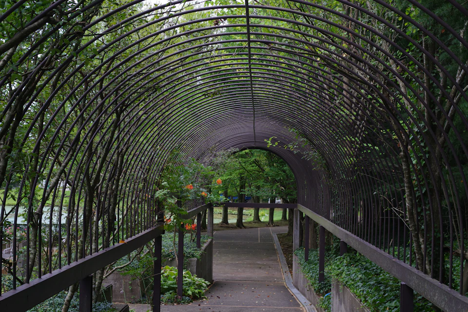 The image depicts a serene garden scene with a large, arched metal gate serving as the focal point. The gate is constructed from black iron and features an intricate lattice design that adds to its charm. A wooden walkway extends out of the gate, leading towards a small path lined with lush green plants and trees in the background.

The garden itself is teeming with life, featuring various types of plants and flowers. The image is taken from a low angle, which enhances the grandeur of the arched gate and creates an interesting perspective for viewers.