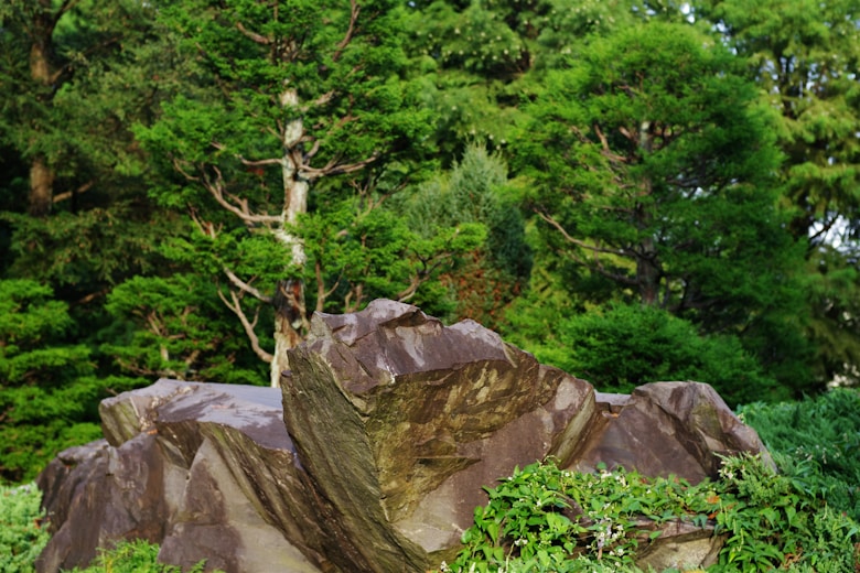A large rock sitting in the middle of a lush green park
