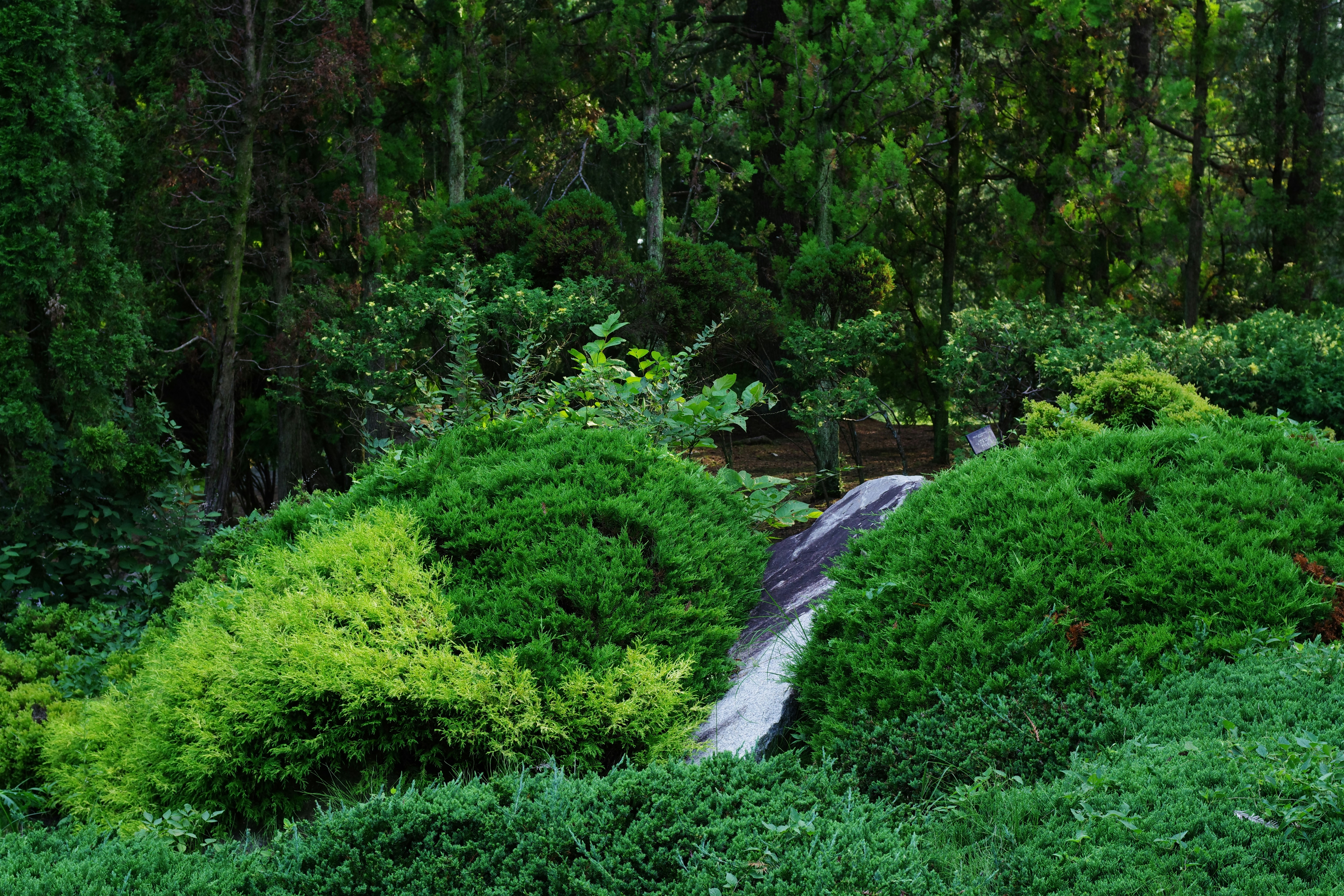 Local Green Atlanta Menu