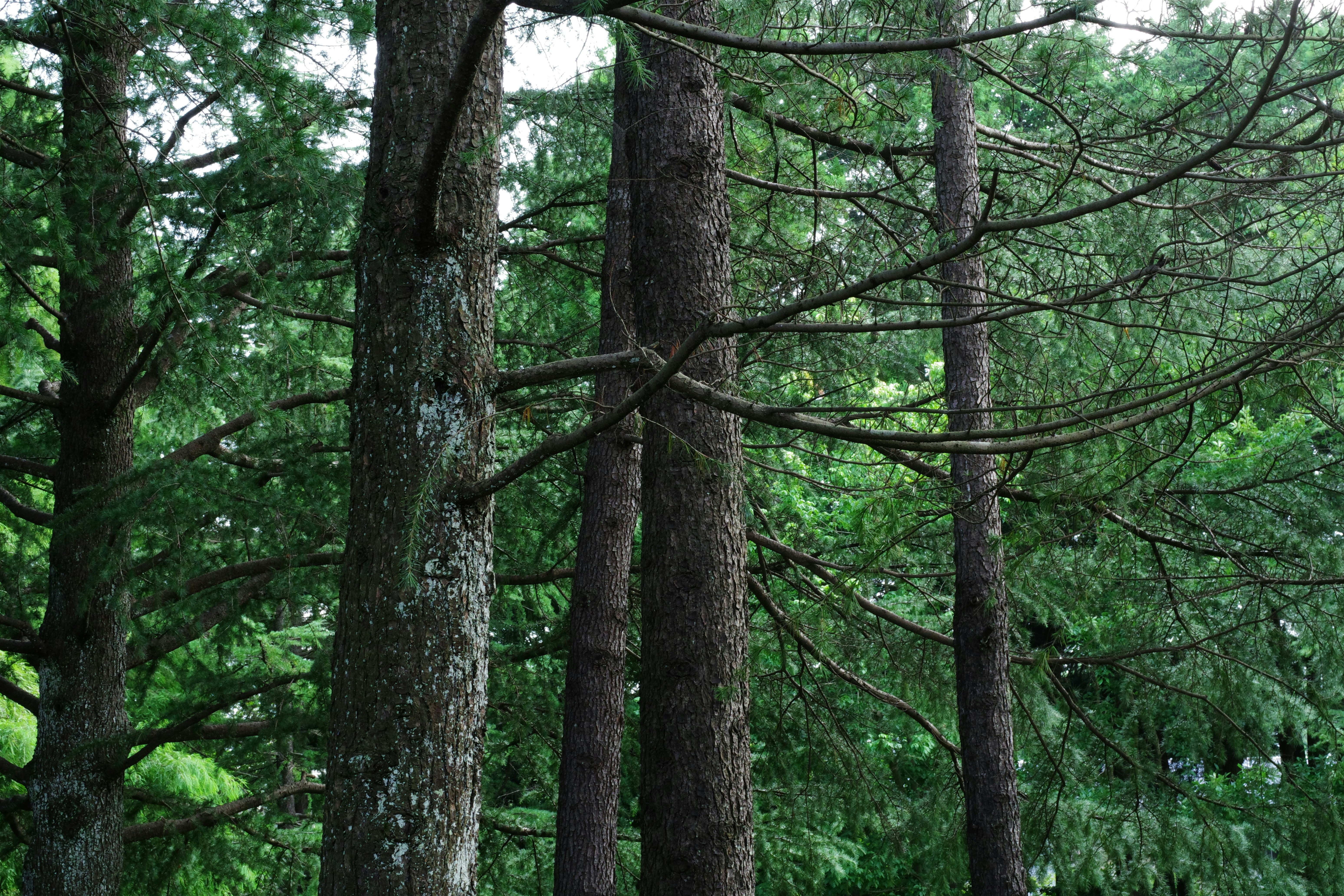 🔥你敢信？這幾個居家好物，不用花大錢，效果讓你跪著叫爸爸！