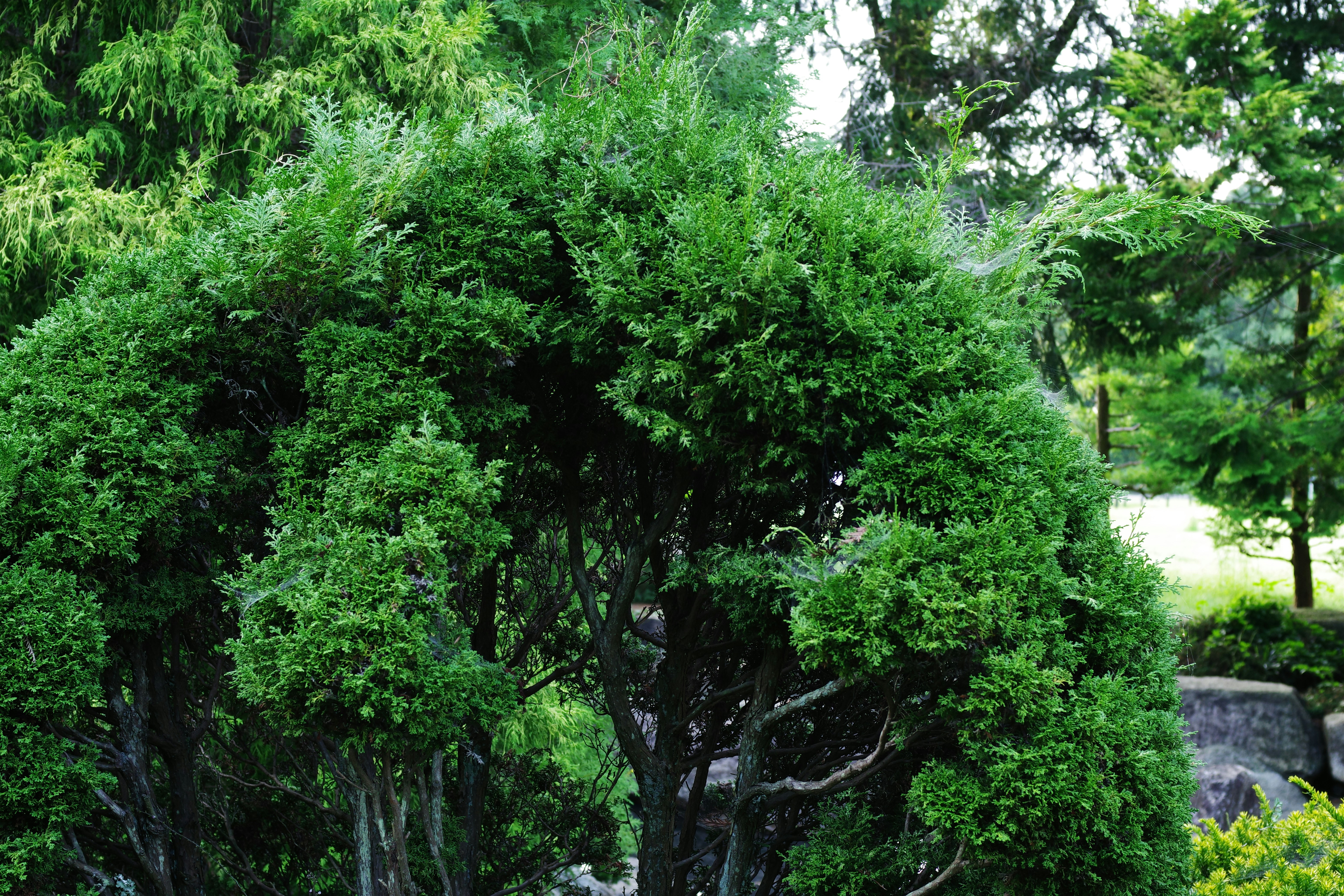 震驚！90%的人都做錯！家居清潔真相曝光，小心住越久病越多！