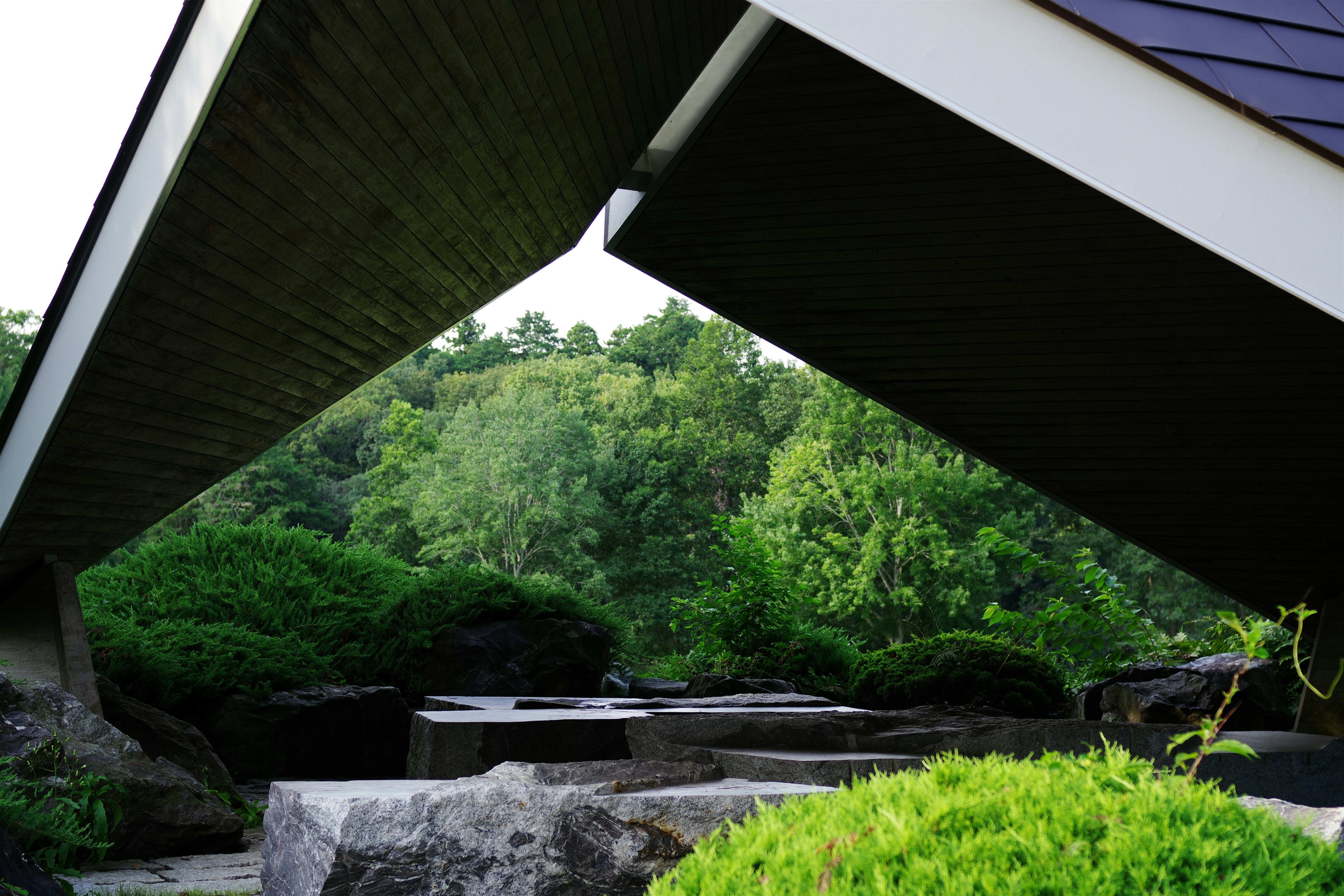 Modern luxury real estate property with contemporary architecture and landscaping